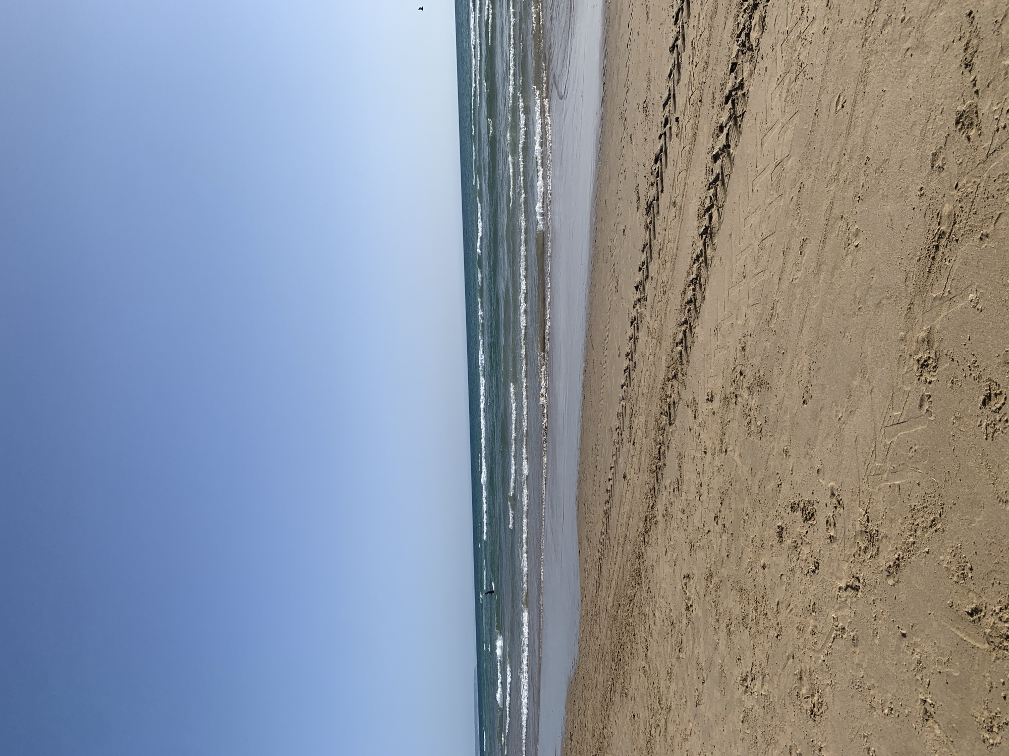 A wide-angle shot captures a serene beach scene at Costa da Caparica, Portugal. The foreground is dominated by a stretch of light brown sand, imprinted with tire tracks from a vehicle. In the middle ground, gentle waves break on the shore, creating white foam. Further out, the turquoise ocean stretches towards the horizon under a clear, pale blue sky. A lone figure on a surfboard is visible in the water, and a distant bird is seen flying in the upper right corner. The overall impression is one of a tranquil day at the beach.