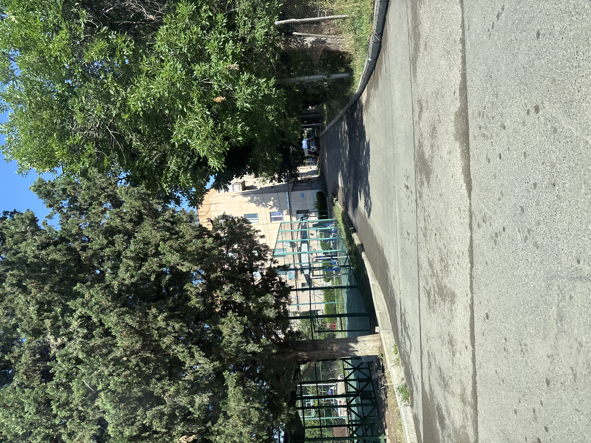The image depicts a paved road in Tbilisi, Georgia, bordered by a sidewalk and a chain-link fence. Large trees, one with dark green, needle-like foliage and another with lighter green, broader leaves, flank the road. Beyond the fence, there is a sports court with green netting and what appears to be outdoor exercise equipment. In the background, a multi-story building with a light-colored facade and numerous windows is visible. The sky is clear and blue, indicating a sunny day. There are no people or animals present in the frame.