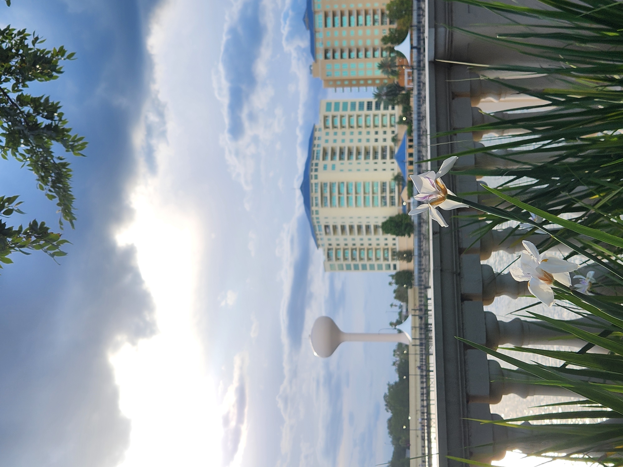 The image shows a scenic view of a waterfront with buildings and a water tower in the background. In the foreground, a decorative stone balustrade separates the viewer from the water. Lush green grass and two white flowers with purple accents are in front of the balustrade, partially obscuring it. The sky is partly cloudy, with sunlight breaking through the clouds, creating a soft, diffused light.
In the distance, there is a prominent water tower. To the right of the water tower, two large, modern buildings with light-colored facades and teal windows are visible. The lower parts of these buildings appear to be residential or hotel complexes. In front of these buildings, a strip of green trees and some smaller structures can be seen. A boardwalk or pathway with lampposts runs along the waterfront.
The overall impression is one of a peaceful urban landscape, likely a park or public area near a body of water. The presence of the buildings and water tower suggests it is a developed area within a city or town. Given the architectural style of the buildings and the tropical-looking foliage, a location in Florida, USA, is plausible. Altamonte Springs, Florida, is known for its parks and lakes, making it a potential location for such a scene.