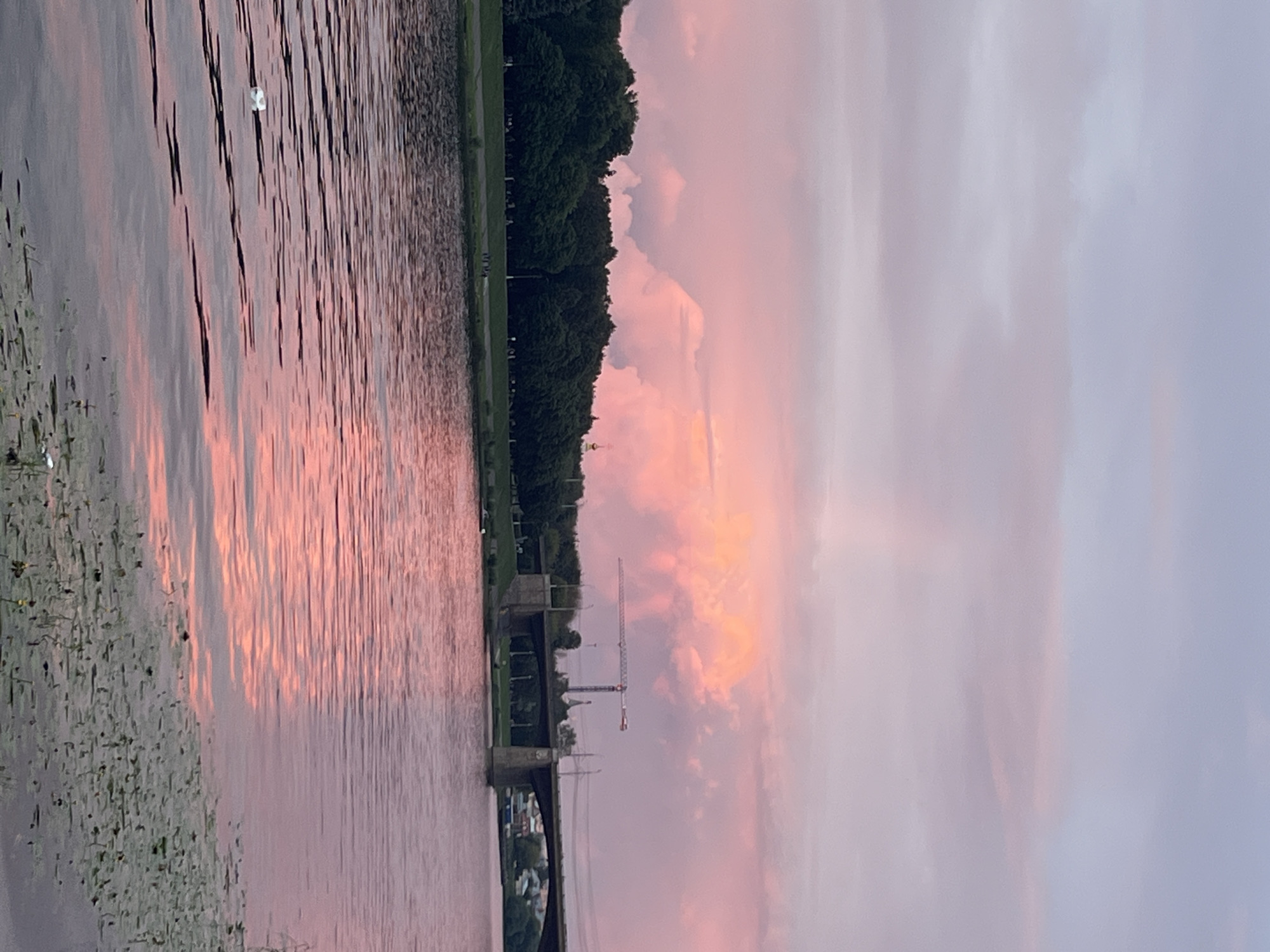The image depicts a sunset scene over the Volga River in Tver, Russia. The sky is filled with soft pink and purple clouds, with a brighter, more intense pink glow emanating from a large cloud formation in the distance, possibly indicating the setting sun behind it. In the foreground, the river's surface reflects the colors of the sky, creating a shimmering effect. The water is calm, with ripples disrupting the reflection.
Along the riverbank, a line of lush green trees forms a dense forest. Beyond the trees, a wide bridge crosses the river, supported by sturdy concrete piers. A construction crane is visible behind the bridge. On the river, a few small white objects, possibly debris or buoys, are present, and some lily pads are floating on the water's surface in the lower right portion of the image. The overall atmosphere is serene and picturesque.