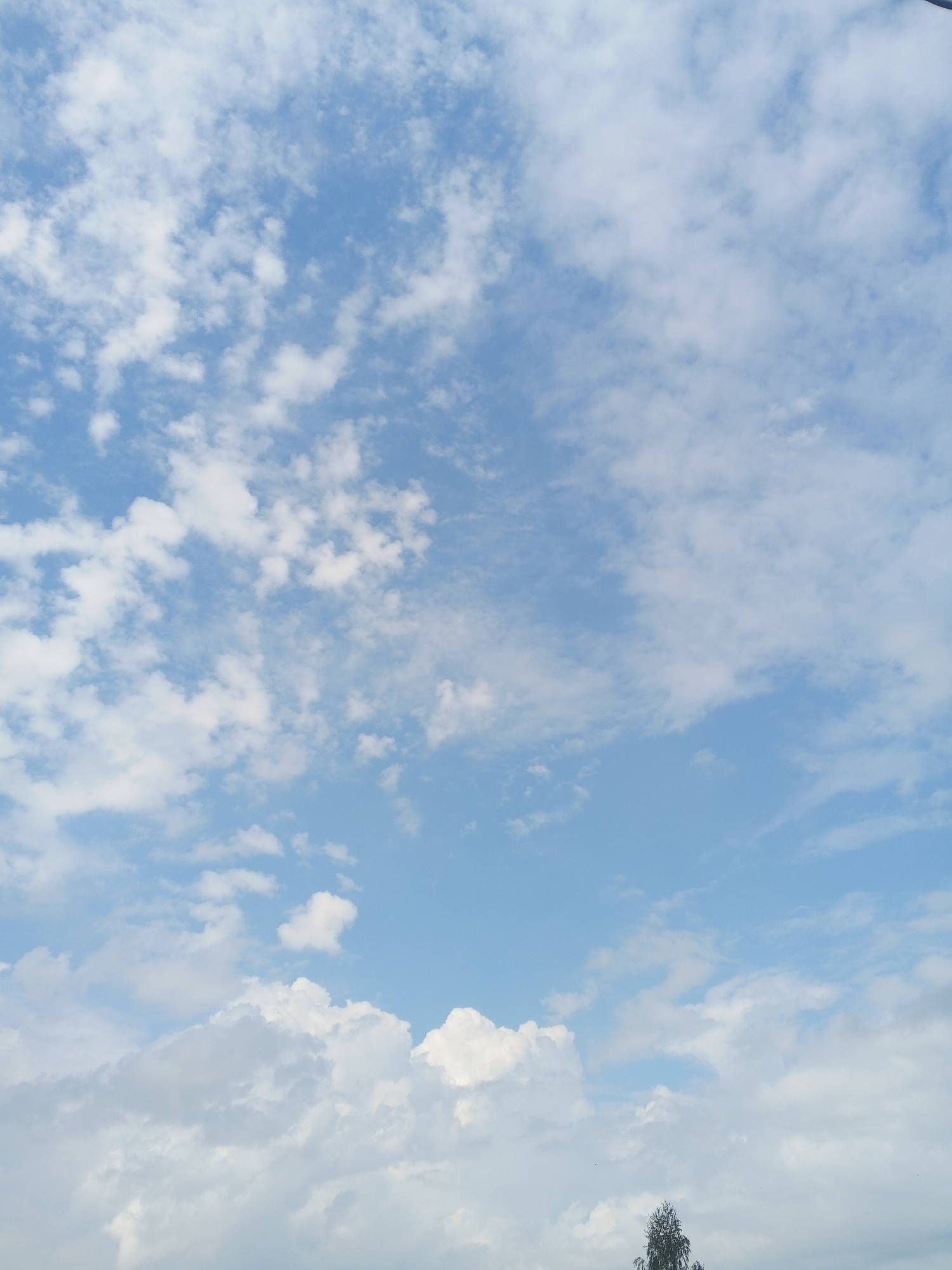 The image shows a bright blue sky filled with scattered white clouds of varying sizes and densities. Some clouds are wispy and thin, while others are larger and more puffy. Towards the bottom of the frame, a few larger, more substantial clouds are visible. At the very bottom, a dark green tree with a thin trunk and a bushy top is partially visible, silhouetted against the bright sky. The overall impression is a clear day with dynamic cloud formations. The image is an exterior shot, likely taken during daylight.