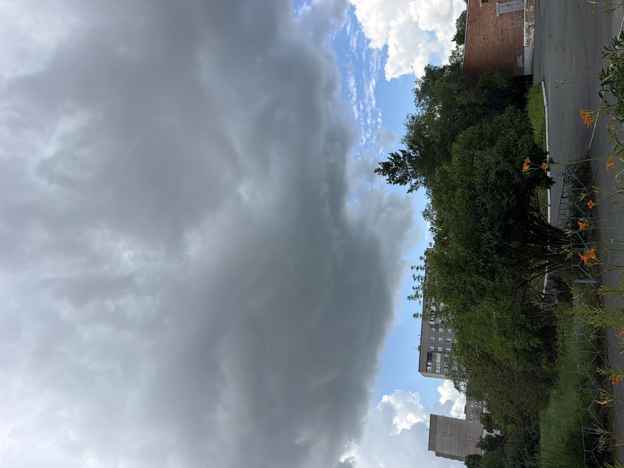 The image depicts an outdoor scene in Novotroitsk, Russia, under a dramatic, overcast sky filled with dark, heavy clouds. The sky takes up a significant portion of the frame, suggesting an approaching storm or recent rainfall. Below the clouds, patches of bright blue sky are visible, interspersed with white, fluffy clouds.
In the middle ground, a dense line of green trees and foliage separates the sky from the urban environment. Behind the trees, several buildings are visible. To the left, a tall, light-colored apartment building with a slightly angled facade dominates the skyline. To its right, a longer, grey apartment building with numerous windows is present. Further to the right, a single-story brick building with a weathered facade and a closed grey door is partially visible. A small, dark-colored tree stands tall amongst the other foliage, reaching towards the sky.
The foreground shows a paved area, possibly a road or parking lot, with faint white markings. A blue metal fence runs along the edge of the paved area, separating it from a strip of green grass and wild plants. Several orange tiger lilies are in bloom, scattered across the foreground and along the fence line, adding a touch of color to the otherwise muted scene. The overall impression is one of an ordinary urban landscape under a brewing sky. No people are visible in the image.