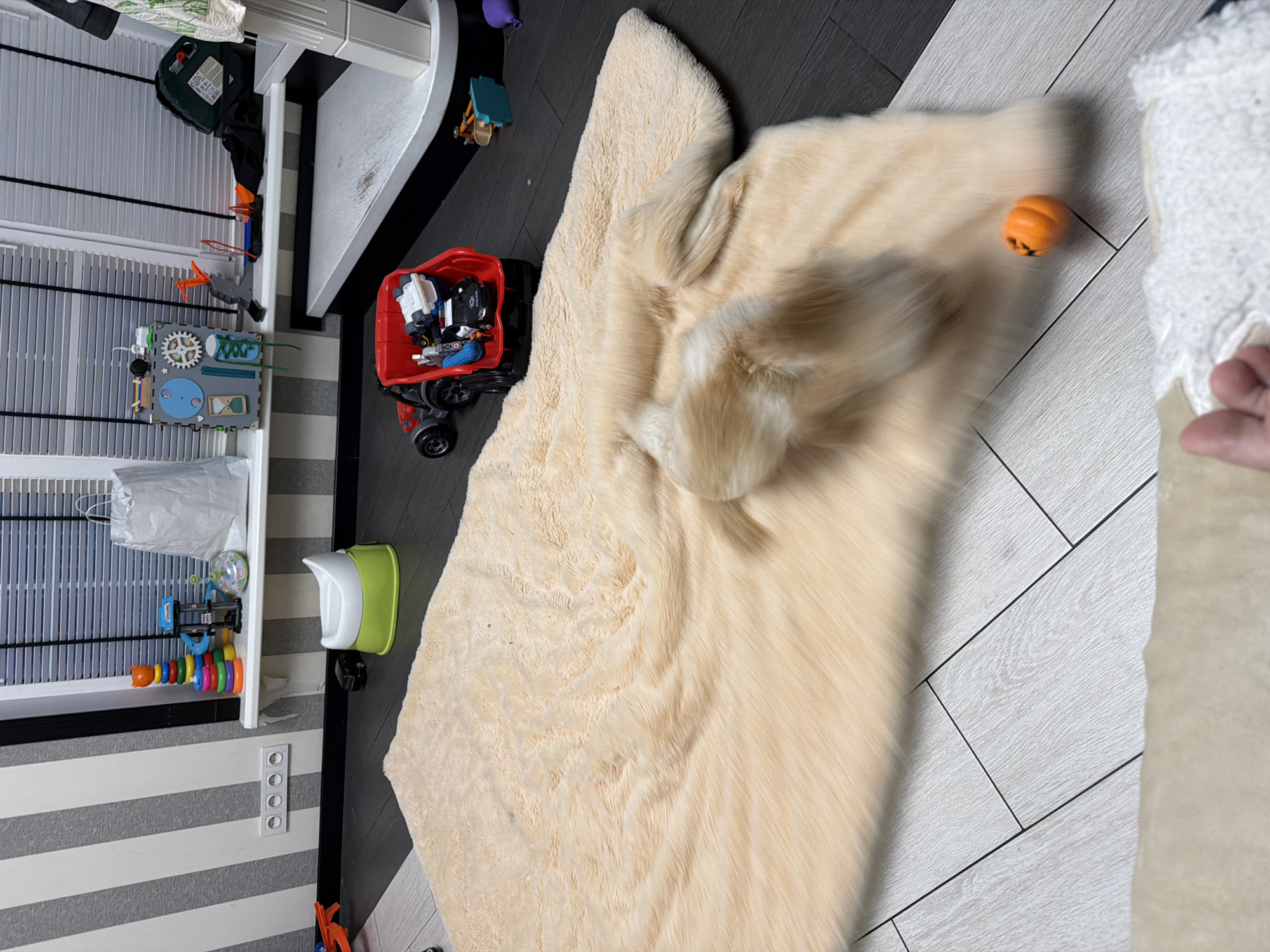 The image depicts an indoor scene, likely a child's play area, with a light-colored, plush rug laid out on a dark-colored floor. Scattered across the rug and the floor are various toys, including a red toy truck filled with smaller toys, a green and white potty training seat, and a stack of colorful rings. In the background, a window with blinds is visible, and on a shelf below it, there are more toys, a white shopping bag, and a busy board. To the right, a white elevated structure, possibly a shelf or play area, is present. The overall environment suggests a home setting for a young child. The image does not provide any information or visual cues that would suggest a location in Bila Tserkva, Ukraine.