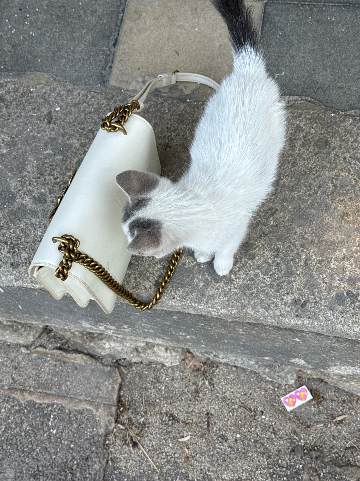 A white and grey kitten is sniffing a white handbag with a gold chain strap that is lying on concrete stairs. The kitten has a black-tipped tail. A small sticker with pink hearts is on the ground to the right of the handbag. The scene is on an outdoor staircase in Strelcha, Bulgaria.