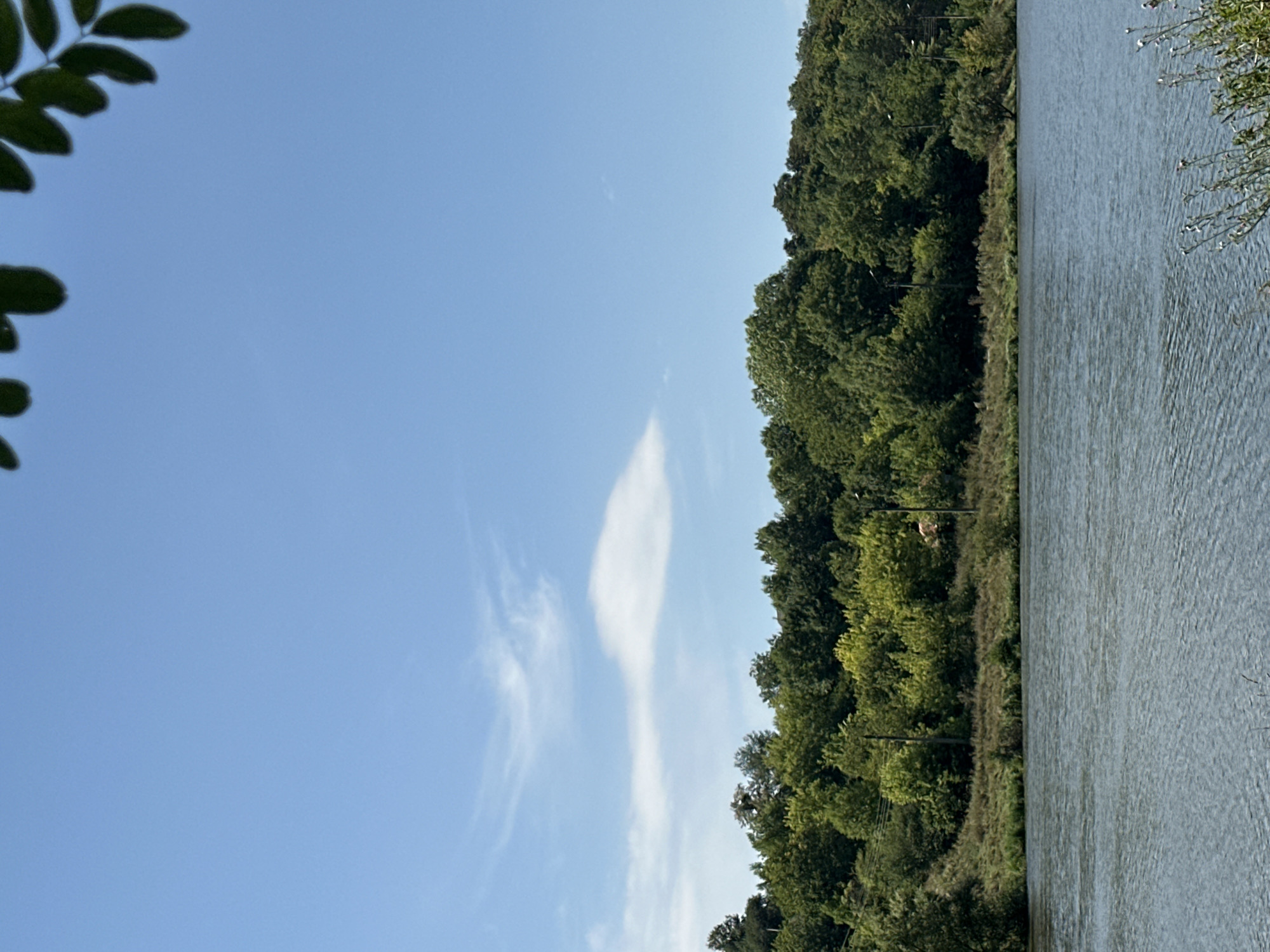 The image shows a wide, calm body of water in the foreground, with ripples on its surface. Beyond the water is a lush, tree-covered hillside that slopes upwards. The trees are a mix of deep green and lighter, yellowish-green foliage, suggesting a variety of species and possibly some early autumn color. The hillside is also covered in dry grass and some smaller bushes. In the distance, the sky is a clear, bright blue with a few wispy white clouds. The overall impression is of a natural, peaceful landscape. This scene is consistent with the natural areas surrounding the village of Makiv, Ukraine, which is known for its scenic beauty and proximity to rivers and forests.