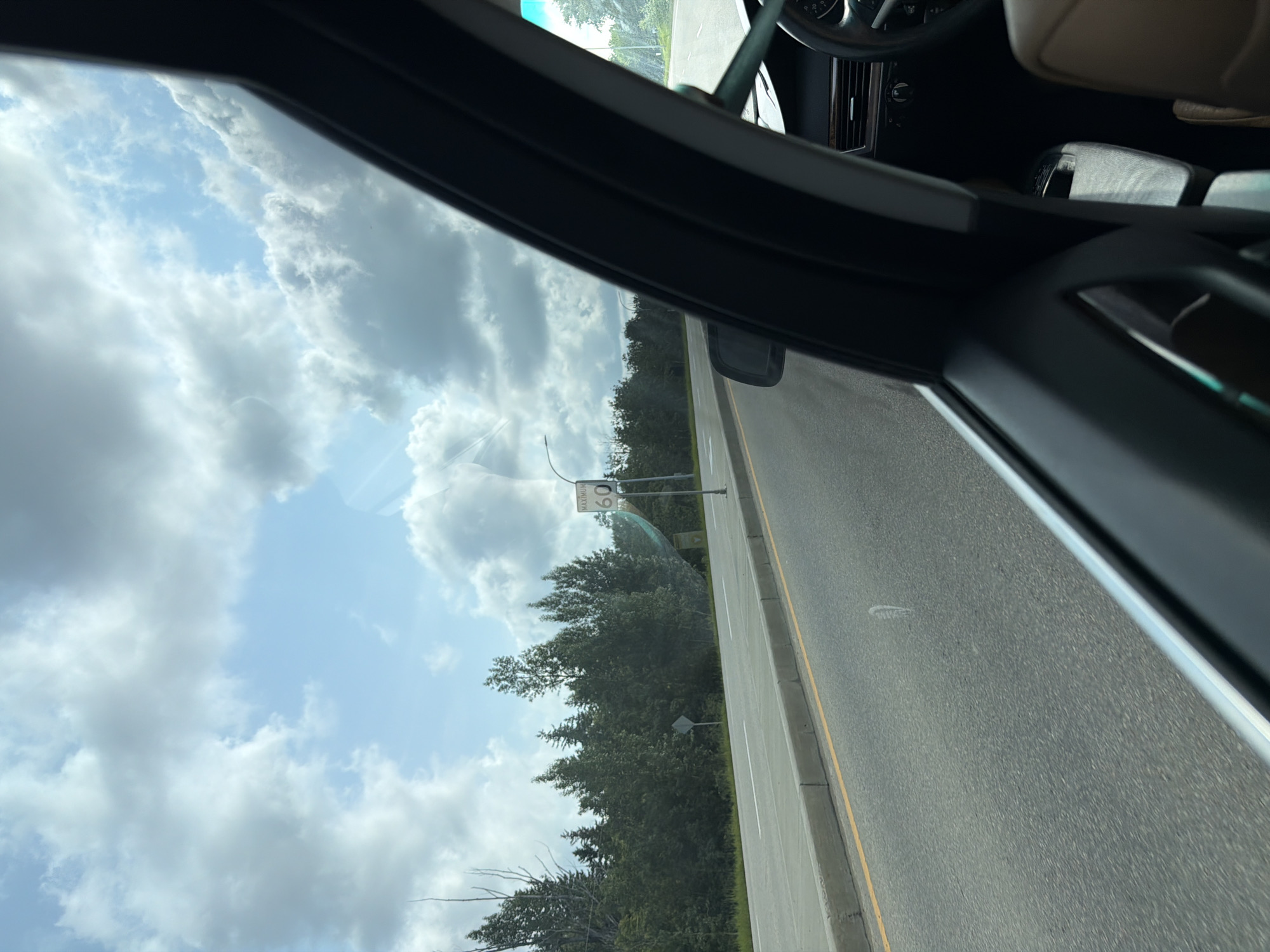 A first-person perspective shot from inside a vehicle shows a highway with trees and a cloudy sky. A speed limit sign indicates a maximum speed of 60. The road is paved with a yellow line and a concrete curb. The interior of the car is partially visible, including the steering wheel and dashboard. The scene appears to be captured on a clear, overcast day.