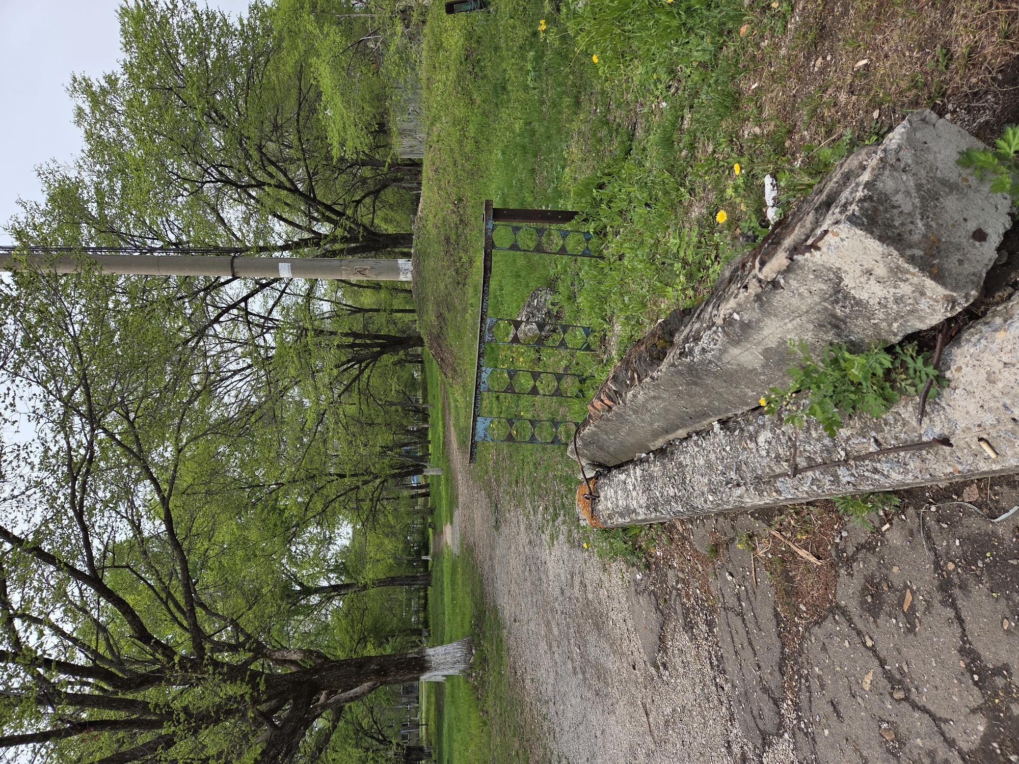The image depicts a dirt path lined with trees in Birobidzhan, Russia. A broken concrete block lies on the right side of the path, overgrown with vegetation. A section of blue metal fence runs along the left side of the path. A utility pole is visible among the trees. The path leads into a grassy area with additional trees in the background. The environment appears unkempt and neglected.