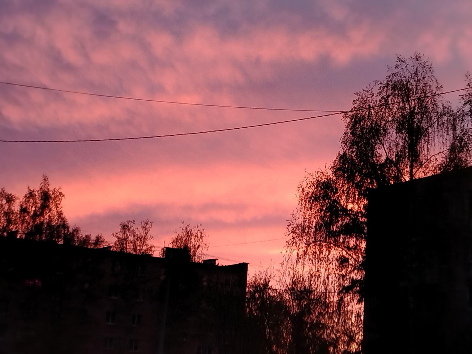The image shows a vibrant pink and purple sunset in an urban environment. Silhouetted buildings and trees occupy the lower half of the frame. Power lines stretch across the sky. The location appears to be a city, but the specific city is unknown.