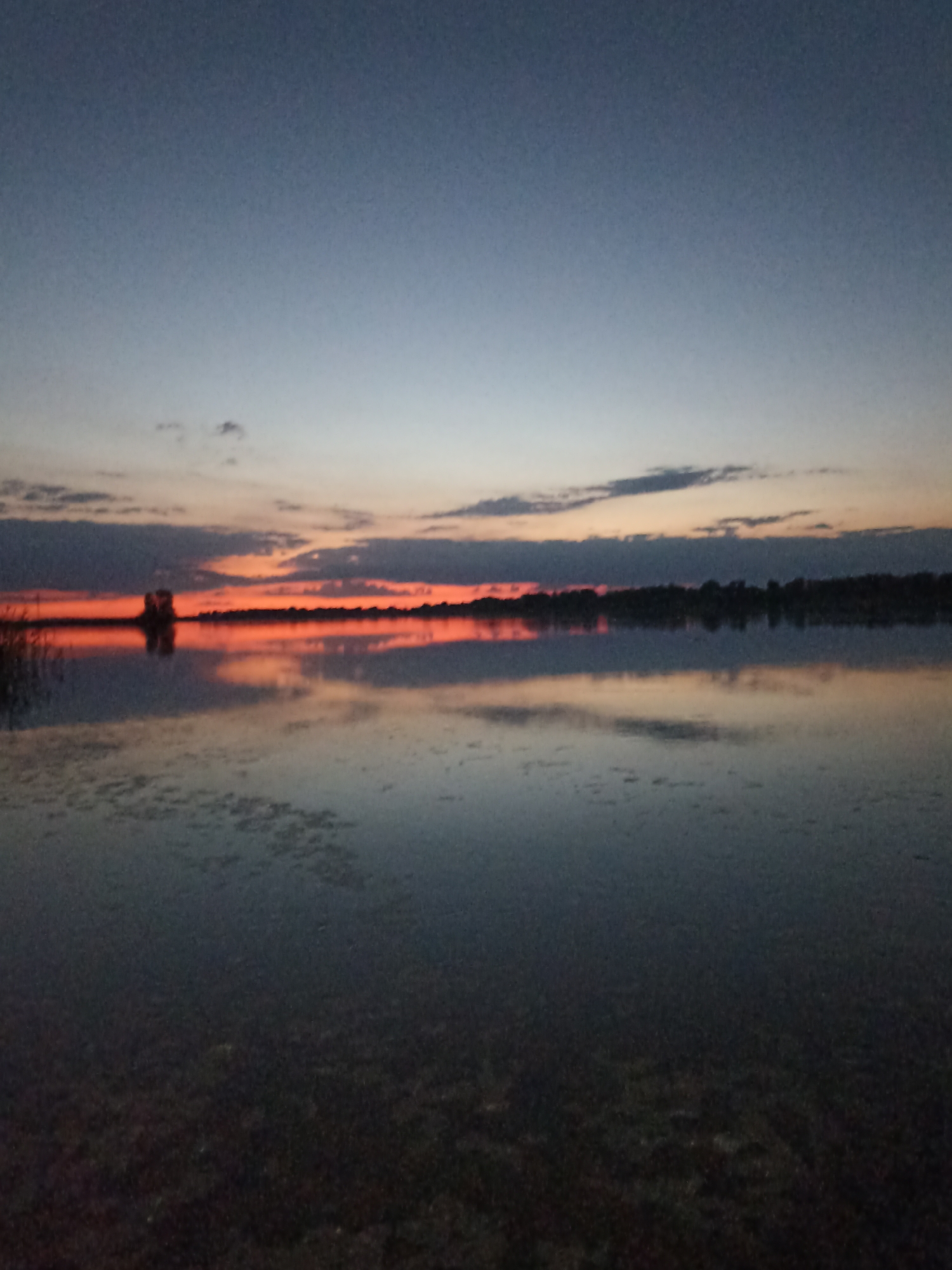 A still, wide shot captures a serene sunset over a body of water. The sky transitions from a deep blue at the top to soft oranges and reds near the horizon, with scattered dark clouds. The water perfectly mirrors the sky and the silhouetted treeline along the distant shore. A small, dark object, possibly a structure or a clump of trees, is visible on the horizon line to the left, also reflected in the water. Reeds or tall grasses are present in the foreground on the left side of the image, partially obscuring the water's surface which appears to have some submerged vegetation or debris. The overall scene conveys a sense of tranquility and the end of the day.