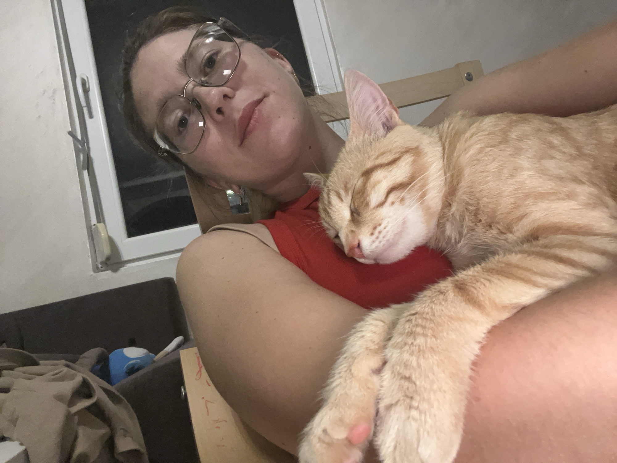 An orange tabby cat is sleeping peacefully, cradled in the arms of a woman wearing glasses and a red top. The woman is looking slightly upwards, towards the camera, with a relaxed expression. The background is dimly lit, showing a window with blinds, part of a sofa, and some blankets. The scene appears to be an indoor setting, likely a home in Podgorica, Montenegro. The overall atmosphere is one of comfort and affection between the woman and her pet.