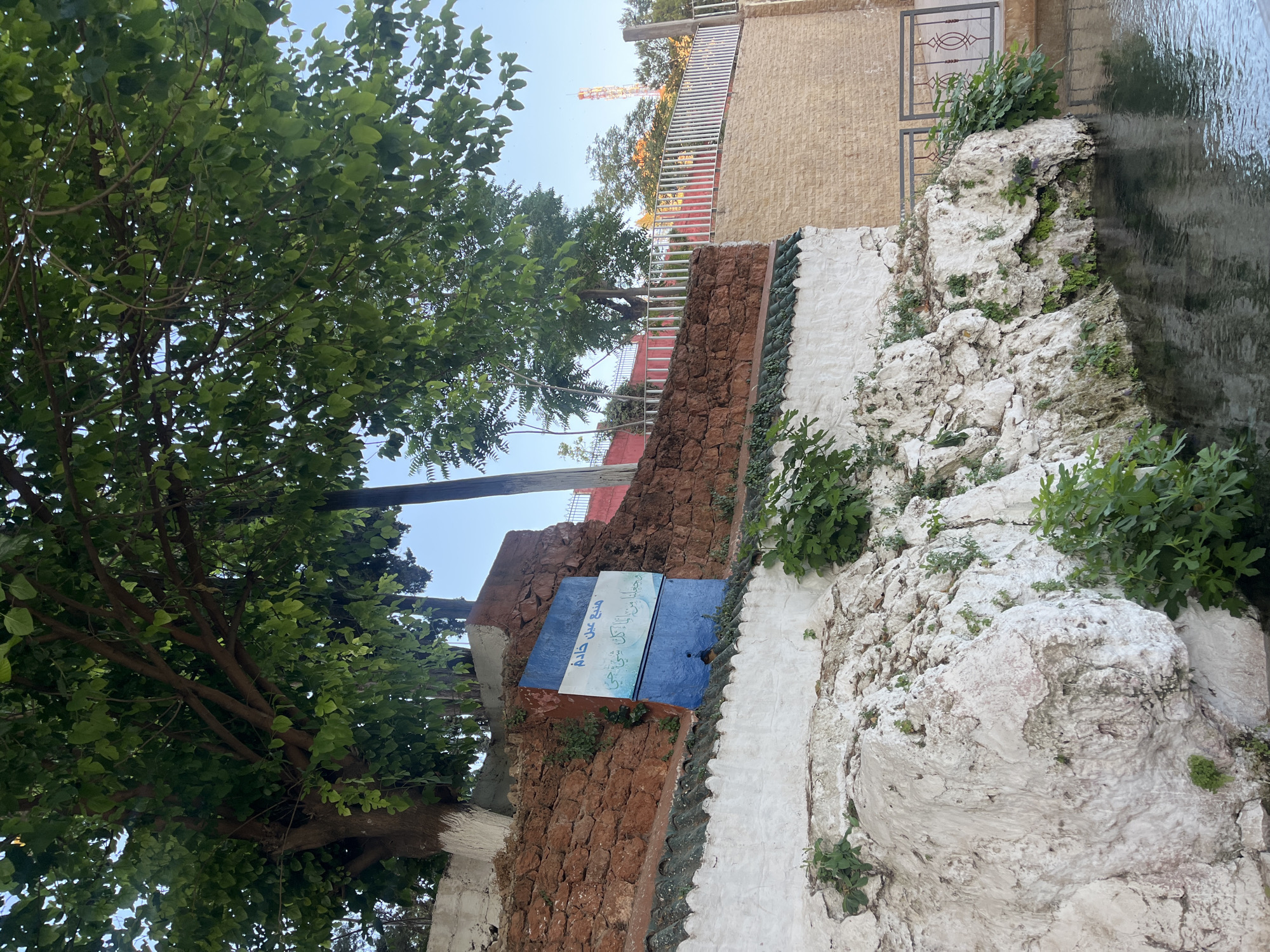 The image depicts the Ain Khadem spring in El Hajeb, Morocco, a natural water source with historical and cultural significance. A blue sign with Arabic script is affixed to a red stone wall, indicating the spring's name. The spring emerges from a rocky embankment covered in white plaster and greenery, with water flowing into a pool in the foreground. Overhanging trees with lush green foliage provide shade. A white fence separates the spring area from a beige brick wall in the background, where a cellular tower is visible in the distance. The scene suggests a tranquil, natural setting within or on the outskirts of the city.
