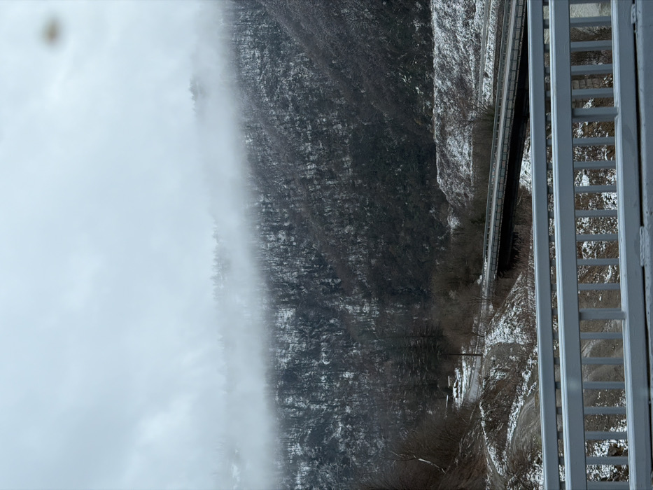 The image depicts a winter landscape in Terjola, Georgia. The foreground features a grey metal guardrail, indicating the vantage point is from an elevated structure or road. Below and in the midground, a dark-colored road bridge spans a valley or ravine. Multiple roads and unpaved areas, partially covered with snow, are visible on the lower slopes and leading to the bridge. Several utility poles are present on the left side of the frame. The background is dominated by steep, snow-covered mountainsides densely forested with a mix of bare deciduous trees and some evergreens. The upper reaches of the mountains are obscured by thick fog or low-hanging clouds, blending into an overcast sky. Snow is present on the ground and tree branches. No individuals or specific actions are depicted.