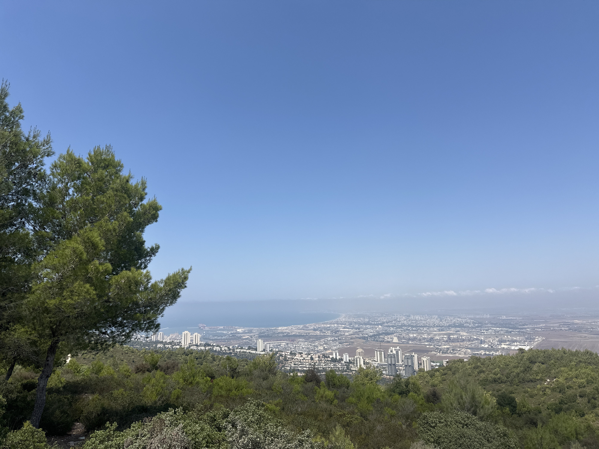 This is an image of the cityscape of Nesher, Israel, seen from a hilltop covered with green vegetation and trees. In the foreground, a large pine tree with green needles is visible on the left side of the frame. The middle ground shows a dense green landscape of bushes and trees. Beyond this, the city of Nesher unfolds, characterized by numerous buildings of varying heights, including apartment complexes and some industrial structures. A bay, likely the Haifa Bay, forms the background, with a hazy sky stretching across the top of the image. The weather appears clear and sunny. There are no people or animals visible in the scene.