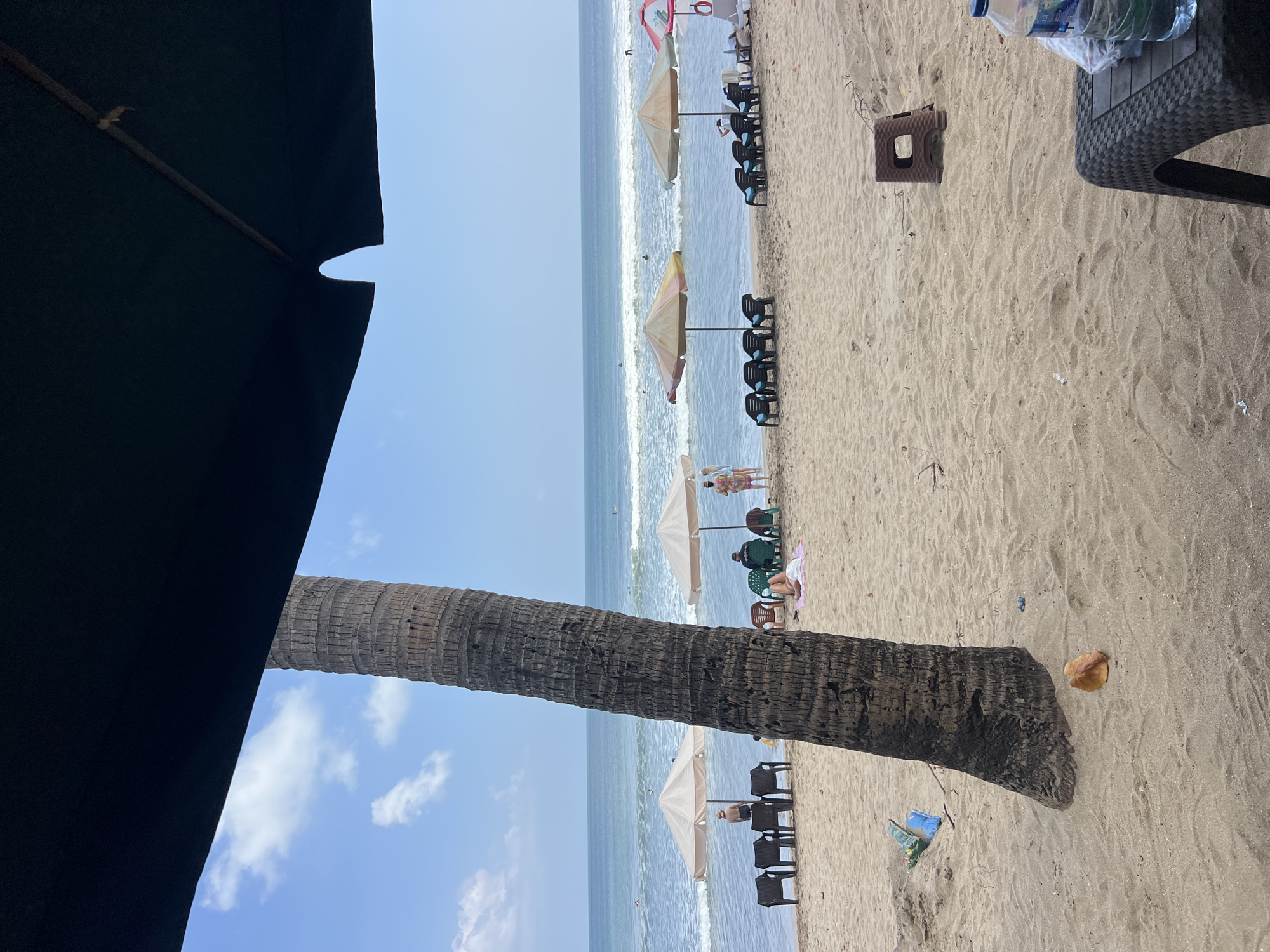 This is a photograph of Kuta Beach in Kuta, Indonesia. The scene is set on a sandy beach with the ocean in the background. A large palm tree trunk is prominently featured in the foreground, obscuring part of the view. Beyond the tree, beach umbrellas and lounge chairs are set up for visitors. Several people are visible, some sitting under the umbrellas, one lying on a towel, and a few in the ocean, with at least one individual appearing to be surfing. The water is a light blue with gentle waves. The sky is clear with a few scattered white clouds. In the lower right corner of the image, a plastic bottle and a woven table are visible, suggesting a relaxed beach setting.