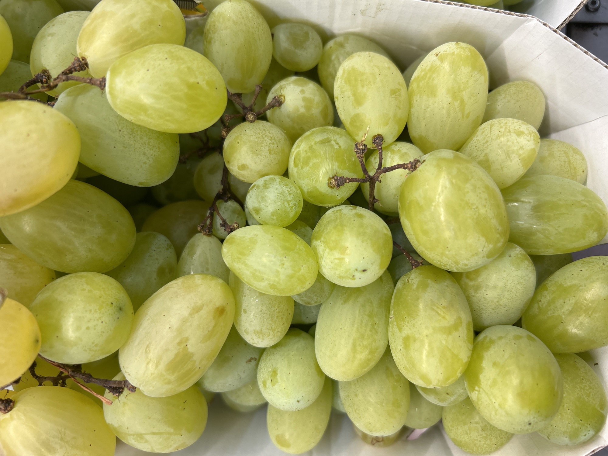 This is a close-up, top-down shot of a bunch of pale green grapes. The grapes are plump and oval-shaped, with some showing a slightly waxy bloom and occasional darker speckles. They are clustered together on thin, woody stems, some of which are visible. The grapes are arranged in a way that suggests they are in a container, possibly a market stall or a grocery store display, with a white surface lining the bottom and sides of the frame. The lighting is bright and even, illuminating the texture and color of the fruit. There are no people or any other objects visible in the frame. The image does not provide any information about the city of Detmold, Germany.