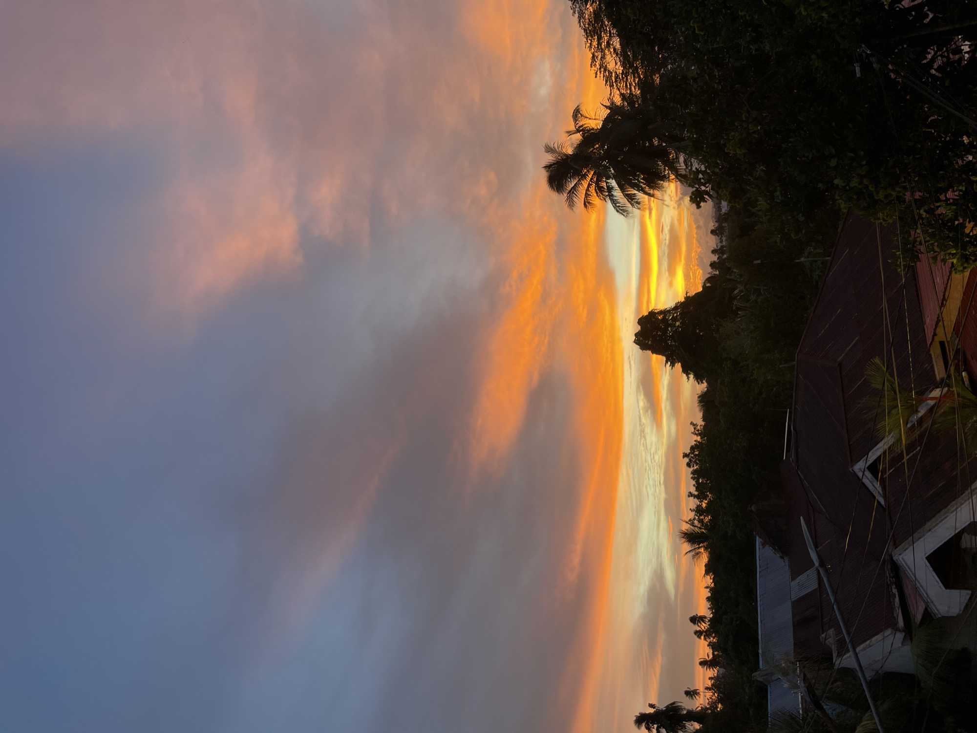 A photograph captures a vibrant sunset over a residential area in Manado, Indonesia. The sky is a dramatic display of color, transitioning from a deep blue at the top to streaks of bright orange and yellow closer to the horizon. Wispy clouds are illuminated by the setting sun, creating a painterly effect. Silhouetted against the colorful sky are the lush green tops of trees and several palm trees, characteristic of the tropical landscape of Manado. In the foreground, the roofs of houses are visible, some appearing to be made of corrugated metal, suggesting a typical urban or suburban setting. The overall impression is one of a tranquil evening in a Southeast Asian city.