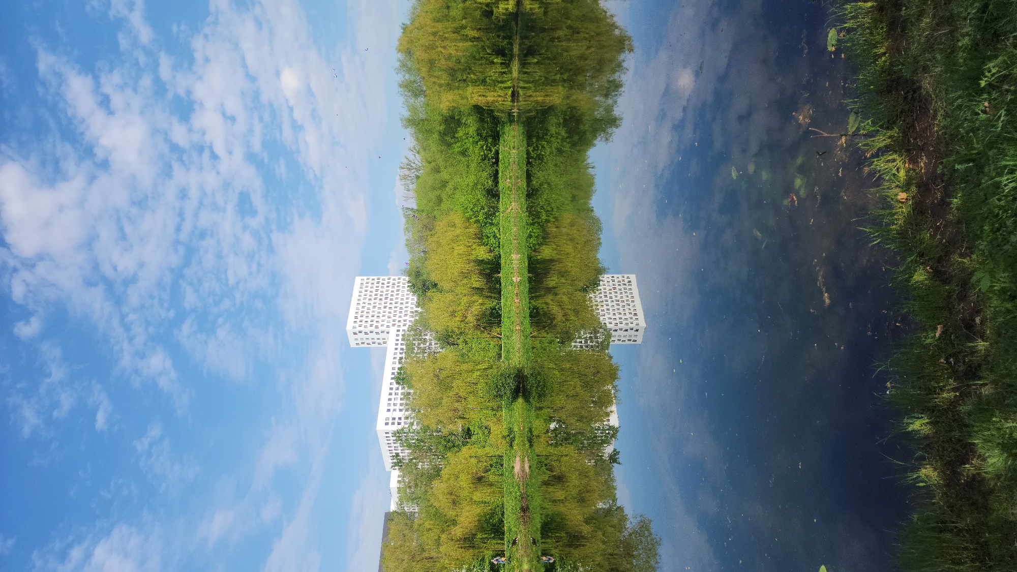 The image appears to be a mirrored reflection in water of a scene containing a building, trees, sky, and what seems to be a path or strip of land.
The building, a modern white structure with a grid-like window pattern, is situated on what would be the bottom and top portions of the image.
Between the buildings on the left and right sides are trees, which occupy the central part of the image.
The path or strip of land appears to run between the buildings, reflected in the water.
Based on visual cues and the style of the building, it is believed to be the Headquarters of Sberbank in Moscow, Russia.