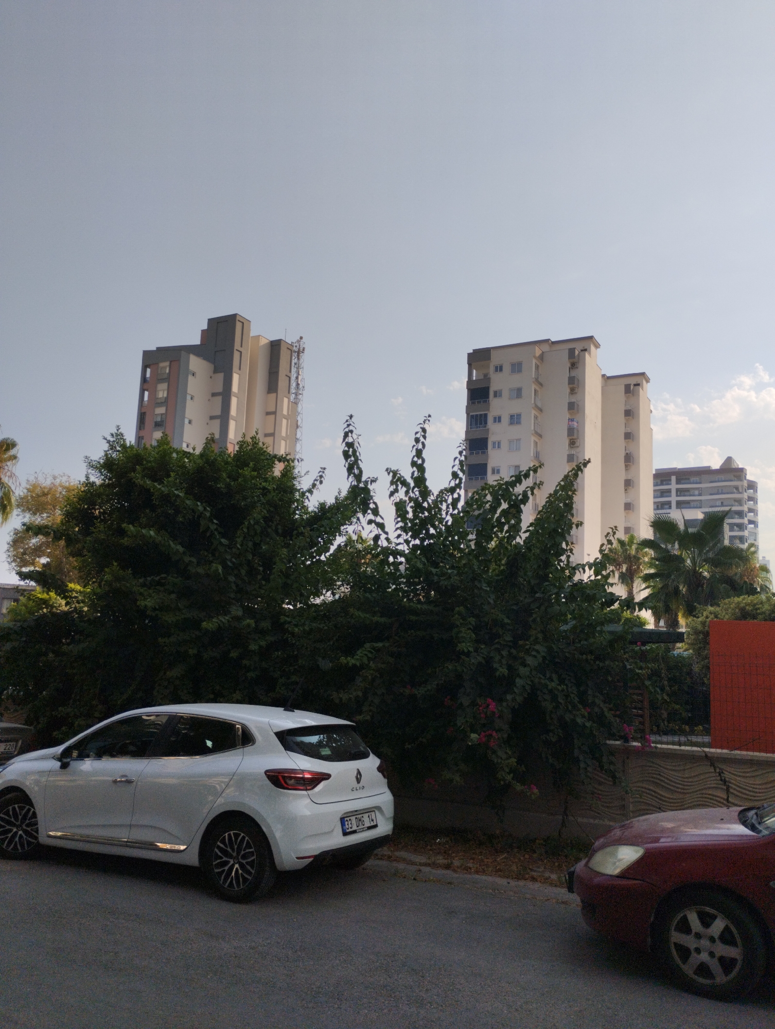 The image depicts an outdoor scene on a street in Erdemli, Turkey. In the foreground, a white Renault Clio is parked on the asphalt. To its right, the front of a dark red vehicle is visible. Behind the cars, a dense line of green trees and bushes runs horizontally across the midground. Beyond the foliage, two tall apartment buildings stand against a clear sky. The building on the left is a complex structure with varying heights and colors, featuring grey, white, and pink sections. The building on the right is a lighter colored, more uniform, multi-story apartment building. Further in the distance, another apartment building with a distinctive curved design is visible. The sky is mostly clear with a few scattered clouds.