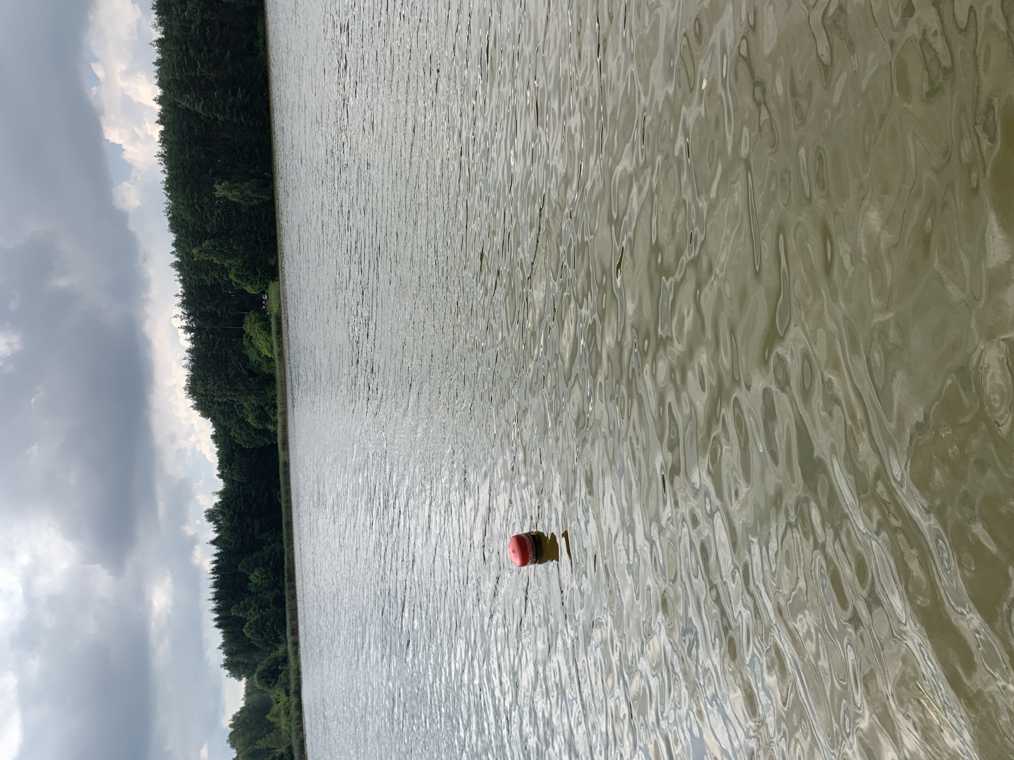 An outdoor, medium shot captures a body of water with a single red and white buoy floating in the foreground. The water exhibits small waves and reflections. In the background, a dense line of dark green trees borders the far edge of the water, under a cloudy sky. The scene appears to be a natural landscape, possibly a lake or large pond within the Грозаўскі сельскі Савет region of Belarus. No people are visible in the image.