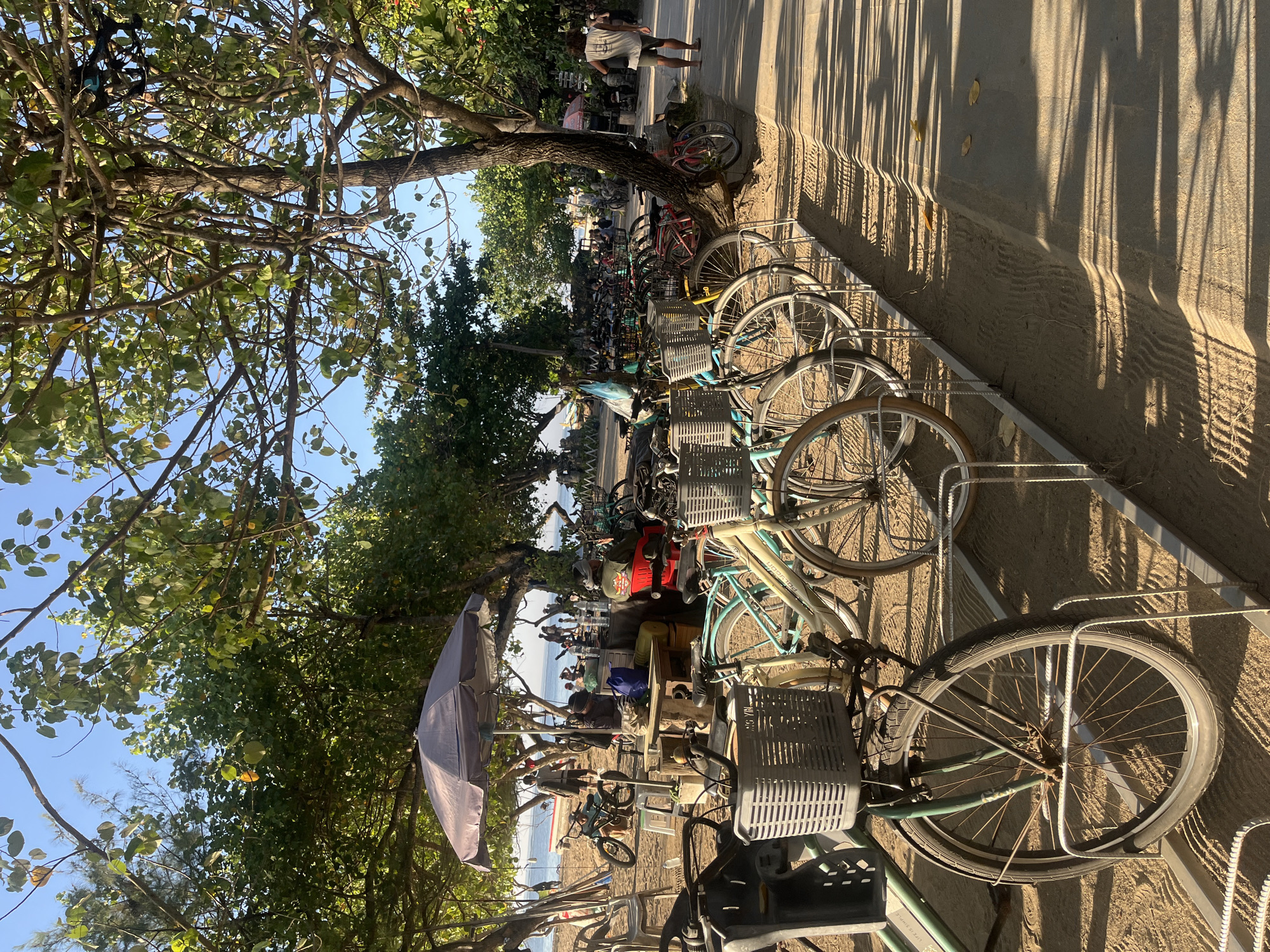 This image shows a beachside area in Denpasar, Indonesia, likely a popular tourist spot. A row of bicycles with baskets is parked on a sandy surface, with a paved walkway beside them. Lush green trees with dappled sunlight cast long shadows across the sand and walkway. In the background, there are more trees, people milling about, a beach umbrella, and glimpses of the ocean. The overall scene suggests a relaxed, outdoor atmosphere typical of a tropical vacation destination.
