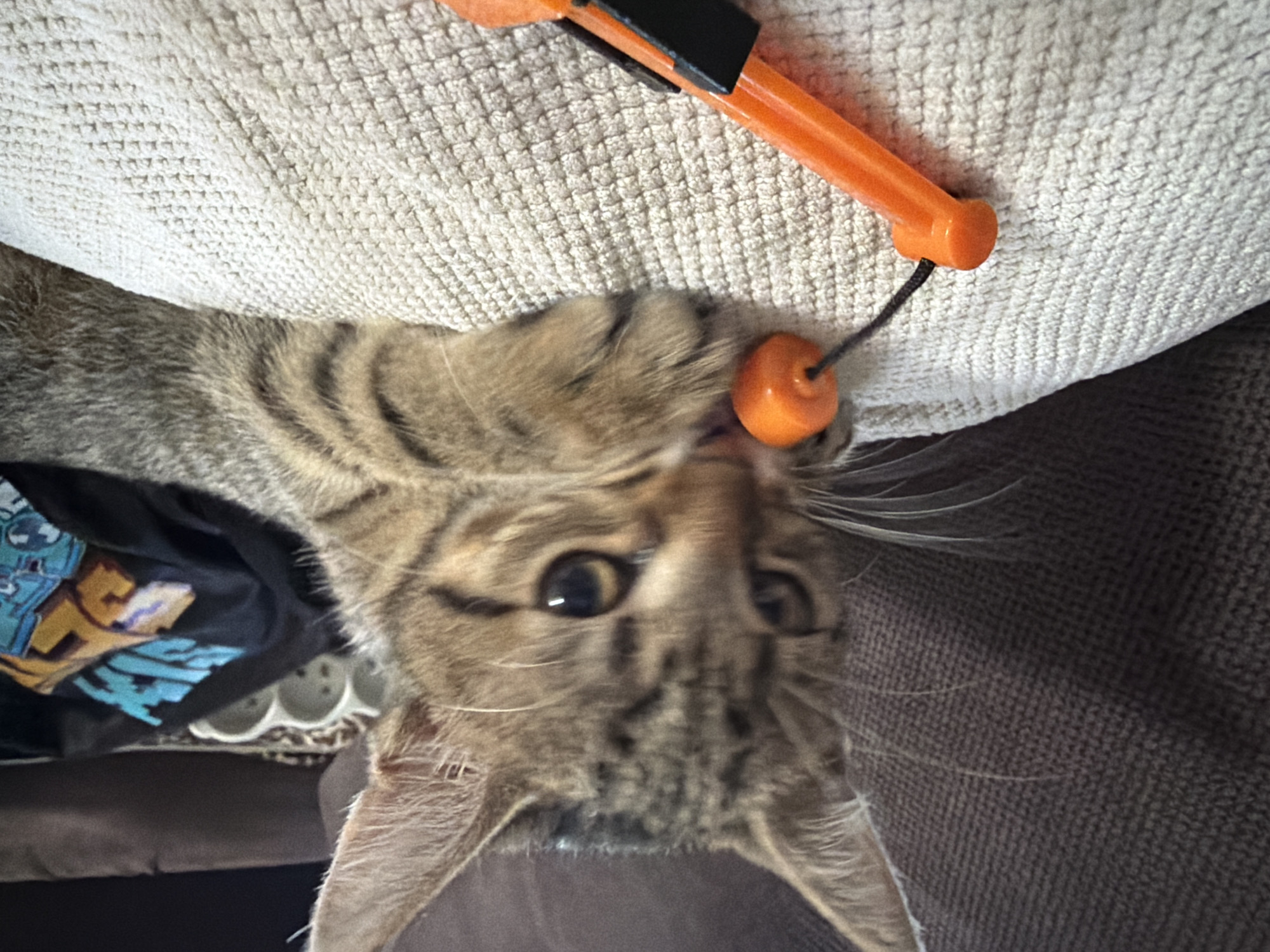 A tabby kitten lies on a textured white cushion, its body angled towards the right. The kitten has large, alert ears and its gaze is directed downwards at an orange toy it is playing with. The toy consists of a string attached to an orange bead and an orange handle with a black grip at the end. The kitten's paws are resting on the cushion, with one paw reaching out to touch the toy. In the background, a dark gray textured surface, possibly a couch, is visible, as well as a black cloth with colorful graphic designs. The lighting in the image is soft and diffused.