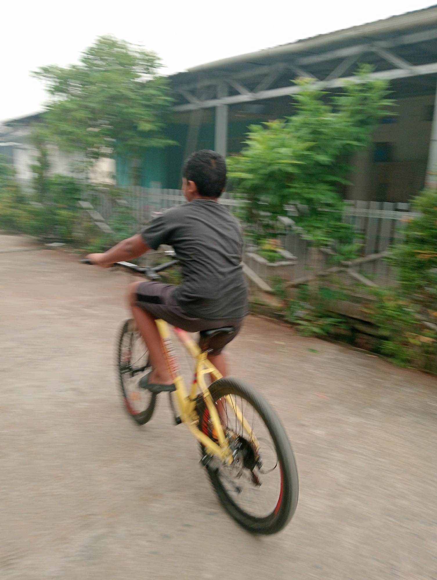 An over-the-shoulder shot shows a young person in a dark t-shirt and shorts riding a yellow bicycle. The person's face is not visible. The bicycle has black tires with red rims and a black seat. The rider's left leg is extended towards the pedal, and their right foot is on the pedal. The bicycle is moving from left to right across a dirt or gravel path. In the background, a building with a gray, corrugated metal roof is visible, with green trees and foliage around it. The scene appears to be outdoors, possibly in a residential area.