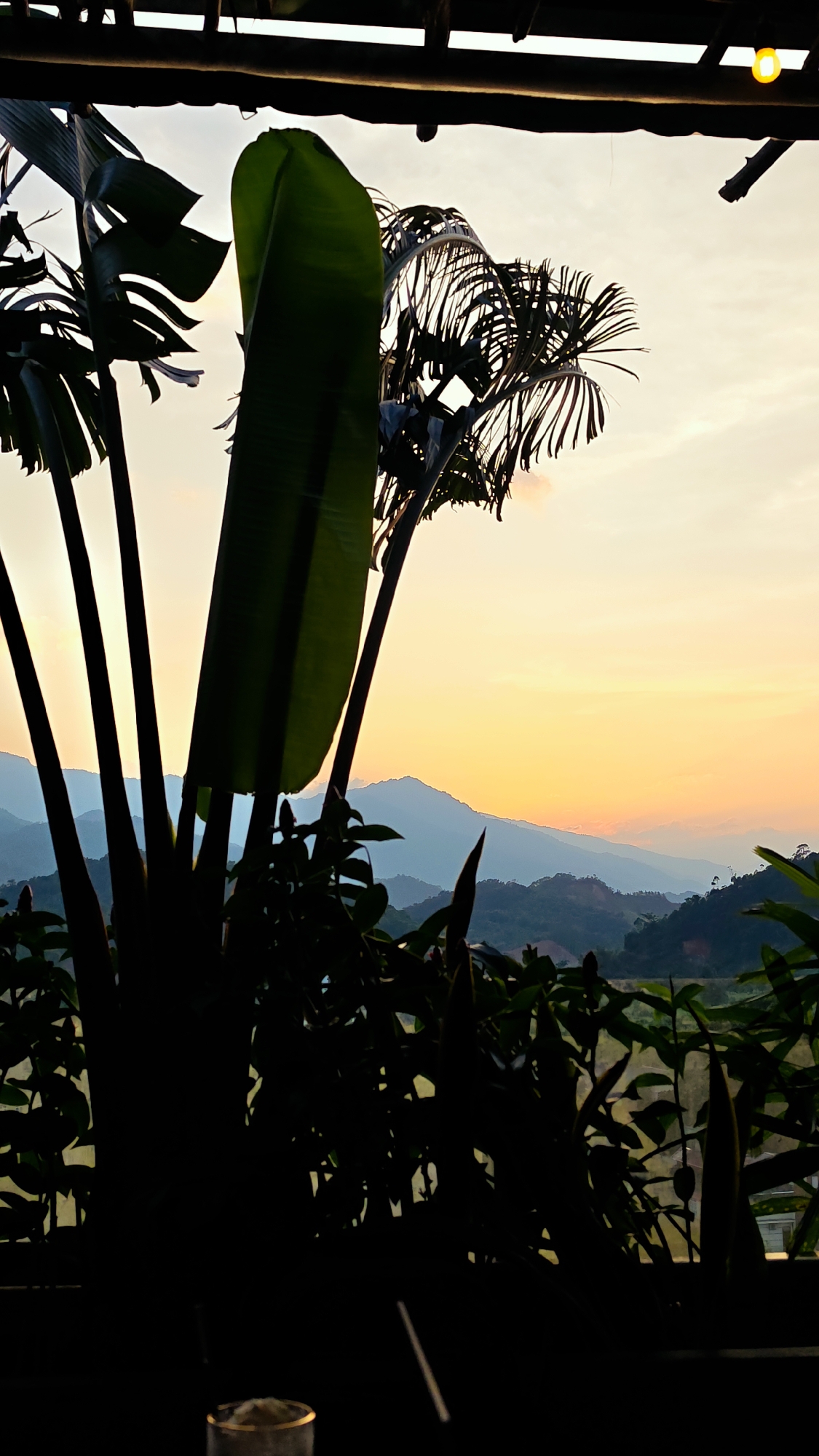 Captured from an elevated perspective under a thatched roof, the image presents a landscape view from Hà Giang 1 Ward, Vietnam. The time is near dusk or dawn, marked by a gradient sky transitioning from a pale, cloud-strewn white at the top to a deeper yellow and orange near the horizon, which highlights distant mountains. The foreground features dense, silhouetted tropical foliage, including broad banana leaves and feathery palms. Closer to the camera, additional dark green plants create a partial barrier, obscuring the lower part of the scenery. A translucent glass sits at the base of the frame, hinting at a seated observer.