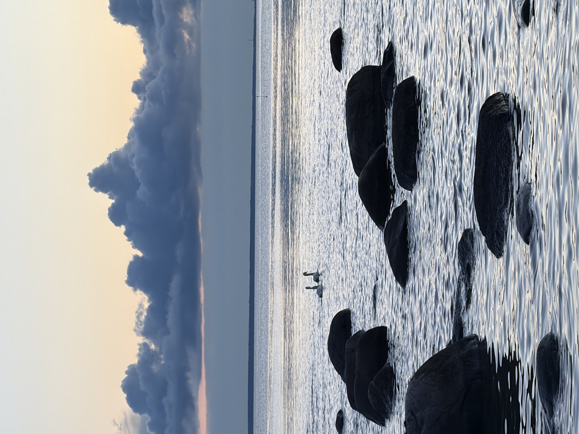 This image depicts a serene natural scene at dusk, likely in Haabneeme alevik, Estonia, given the context. The foreground is dominated by dark, wet rocks partially submerged in calm water, with gentle ripples reflecting the muted colors of the sky. In the middle ground, two white swans are gracefully swimming on the water's surface. The horizon line separates the water from a wide expanse of sky, which transitions from a pale yellow at the top to softer hues of pink and gray closer to the horizon. A line of dark, heavy clouds stretches across the sky, partially obscuring a distant, faint industrial structure. The overall atmosphere is tranquil and contemplative.