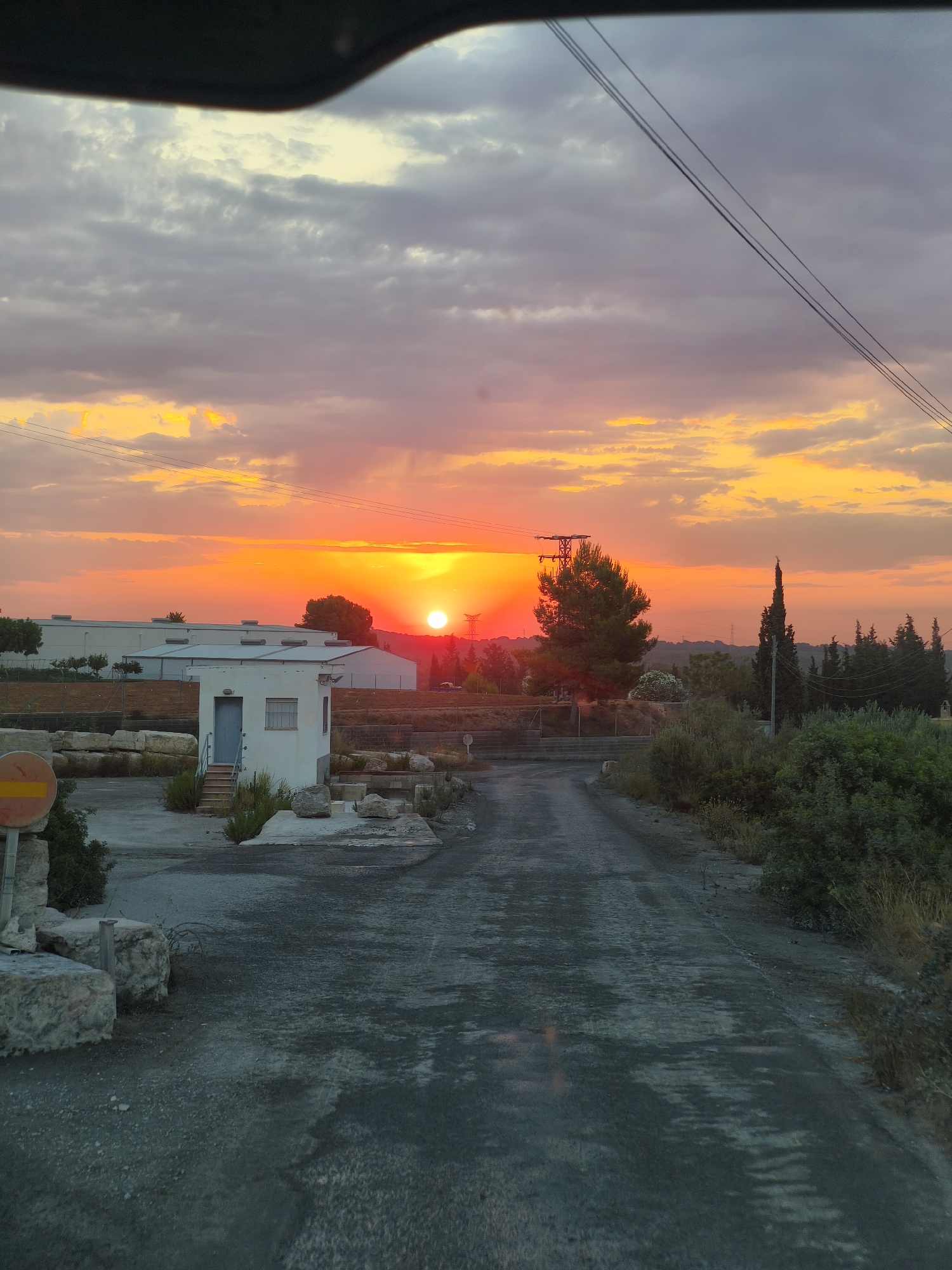 A sunset is captured over an industrial or semi-rural area in Riba-roja de Túria, Spain. The sky is ablaze with vibrant orange and yellow hues, transitioning to softer pinks and purples as it nears the horizon. Wispy clouds are scattered across the sky, catching the last rays of the sun.
In the foreground, a dusty, unpaved road stretches into the distance. On the left side of the road, a small, white building with a blue door and a window stands next to a pile of large, rough-hewn rocks. A yellow and red circular sign is visible on a post to the left of the building. Beyond this building, larger industrial structures with white roofs are visible.
To the right of the road, dense green bushes and trees line the landscape. A tall, slender pine tree stands prominently in the middle ground, silhouetted against the bright sky. Further in the background, more trees and vegetation can be seen, interspersed with what appear to be power lines and pylons, suggesting the presence of infrastructure in the area. The overall impression is one of a tranquil, end-of-day scene in a somewhat undeveloped or industrial fringe of the city.