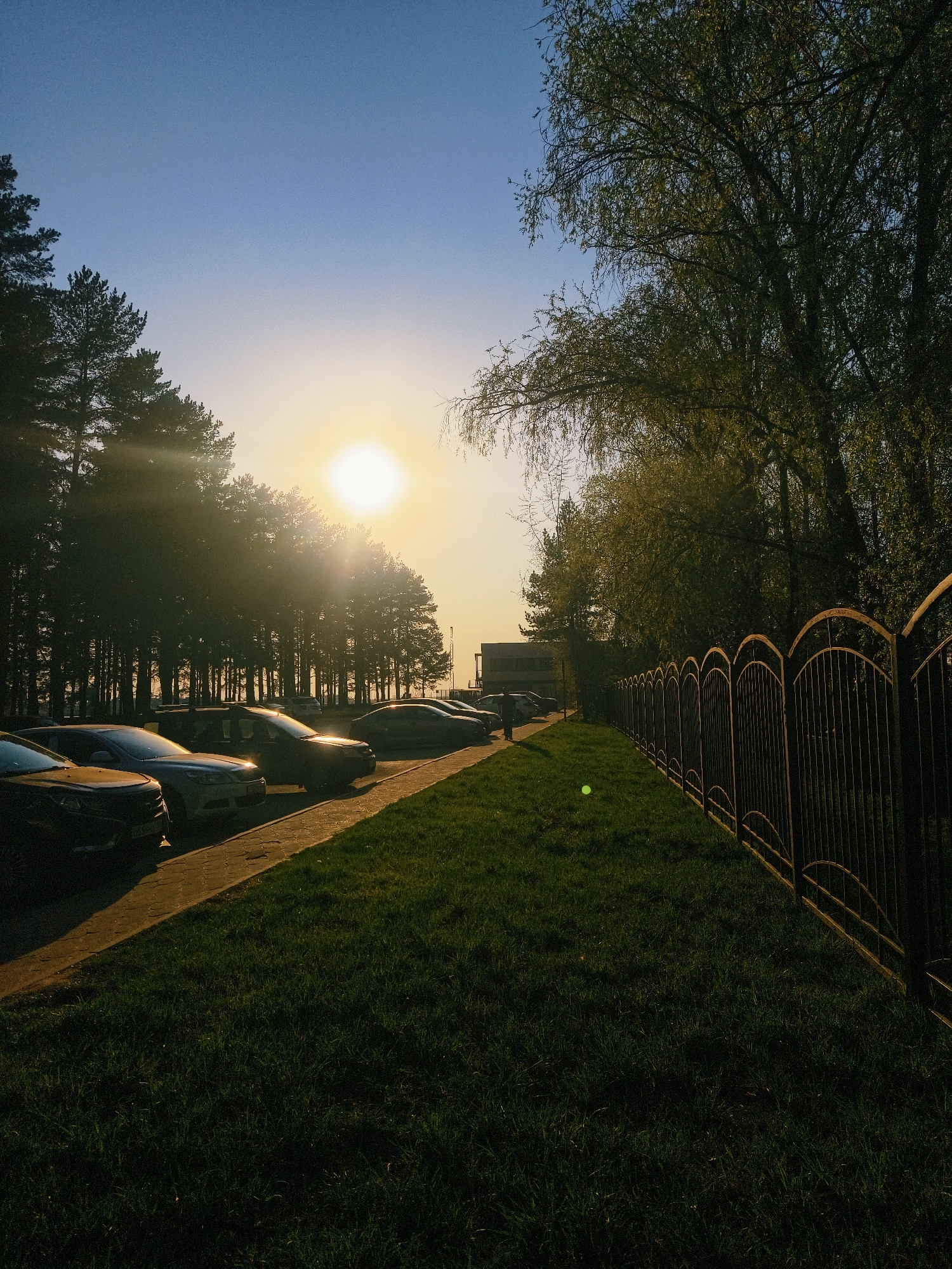 The image depicts a parking lot alongside a grassy area enclosed by a metal fence. The sun is visible through the trees, casting light rays. Cars are parked along a paved sidewalk. There appears to be a person walking near the parked cars. The location is Chaikovsky, Russia. The image was taken during the day.