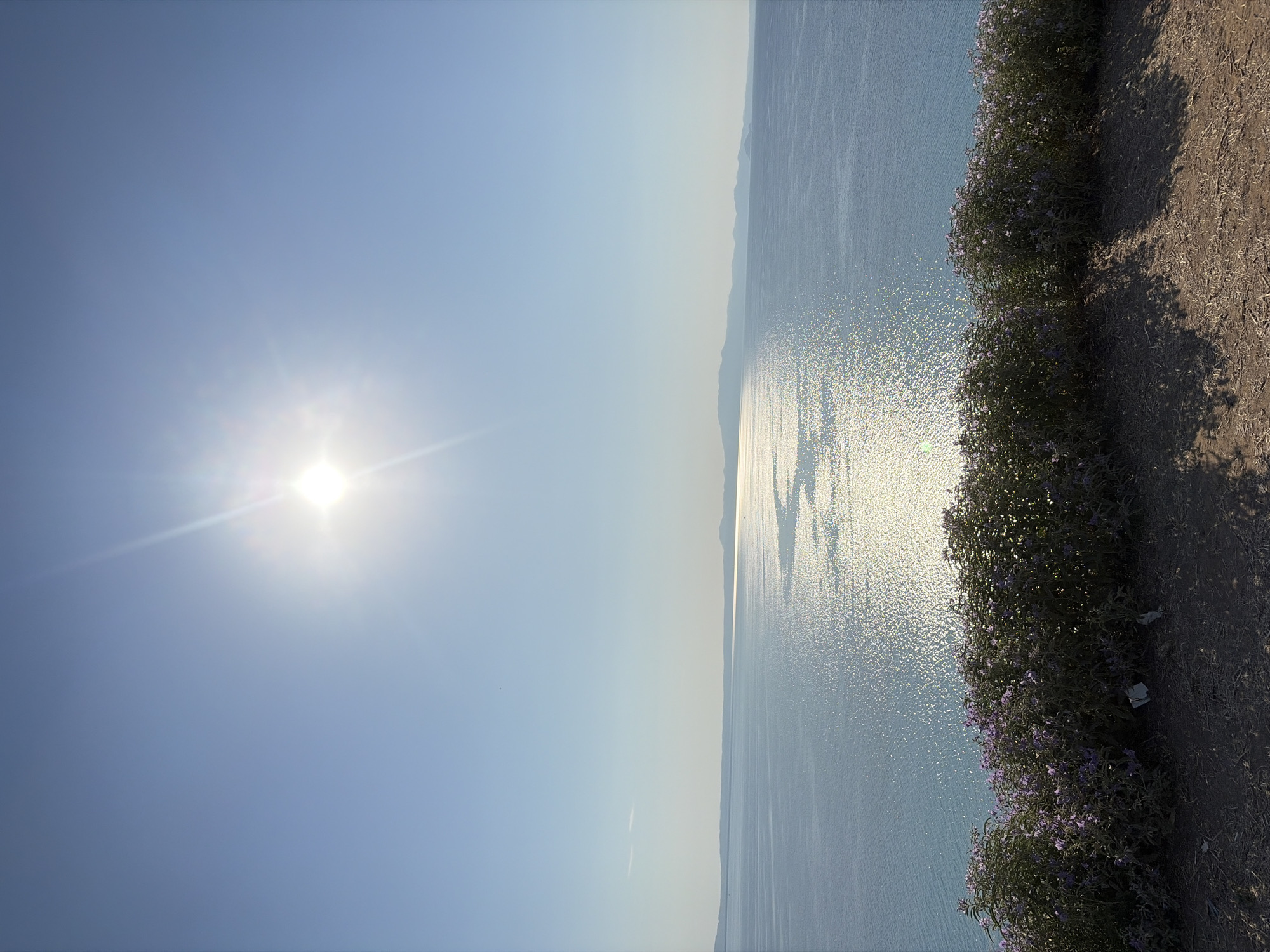 A bright, sun-drenched view overlooks a calm, blue sea with distant, hazy landmasses. The sun is positioned high in the clear blue sky, casting a strong glare and a sparkling reflection across the water. In the foreground, a dense line of green bushes dotted with small purple flowers grows along a dirt embankment. The light creates dappled shadows on the ground from the vegetation. The scene appears to be a coastal overlook in the Kassandra Municipal Unit, Greece, characterized by its natural beauty and bright, sunny weather.