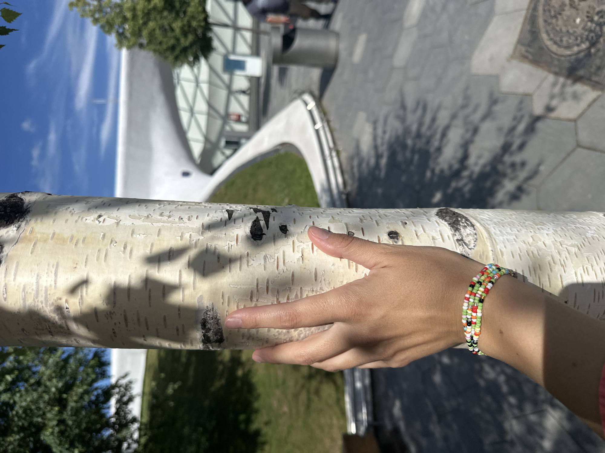 A hand with a colorful beaded bracelet is touching a birch tree trunk. The tree is in the foreground and appears to be part of an outdoor setting. In the background, a modern building with a geodesic dome roof and curved white elements is visible. There are trees and a paved area with hexagonal tiles. The sky is blue with some clouds. The sunlight suggests it is daytime. The scene is likely outdoors in a park or public space. The photo appears to be taken in Moscow, Russia.
