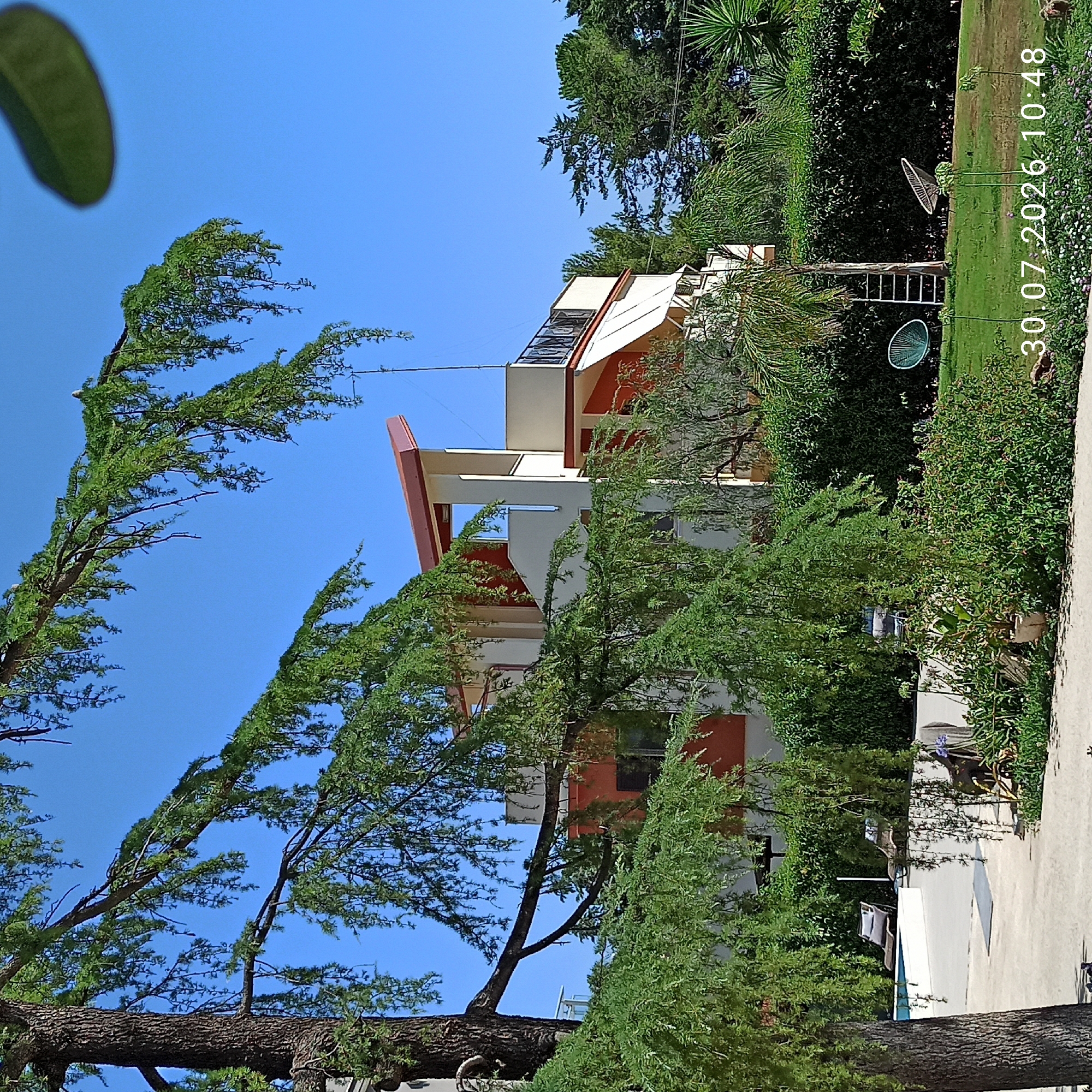 This is an exterior photograph taken on July 30, 2026, at 10:48 AM. The scene depicts a residential property in Terlizzi, Italy, featuring a modern multi-story building with cream and orange accents. A large tree with hanging branches dominates the foreground, obscuring parts of the building and a swimming pool. The backyard includes lush green hedges, a lawn with modern seating, a palm tree with a ladder leaning against it, and various plants. The sky is clear and blue.