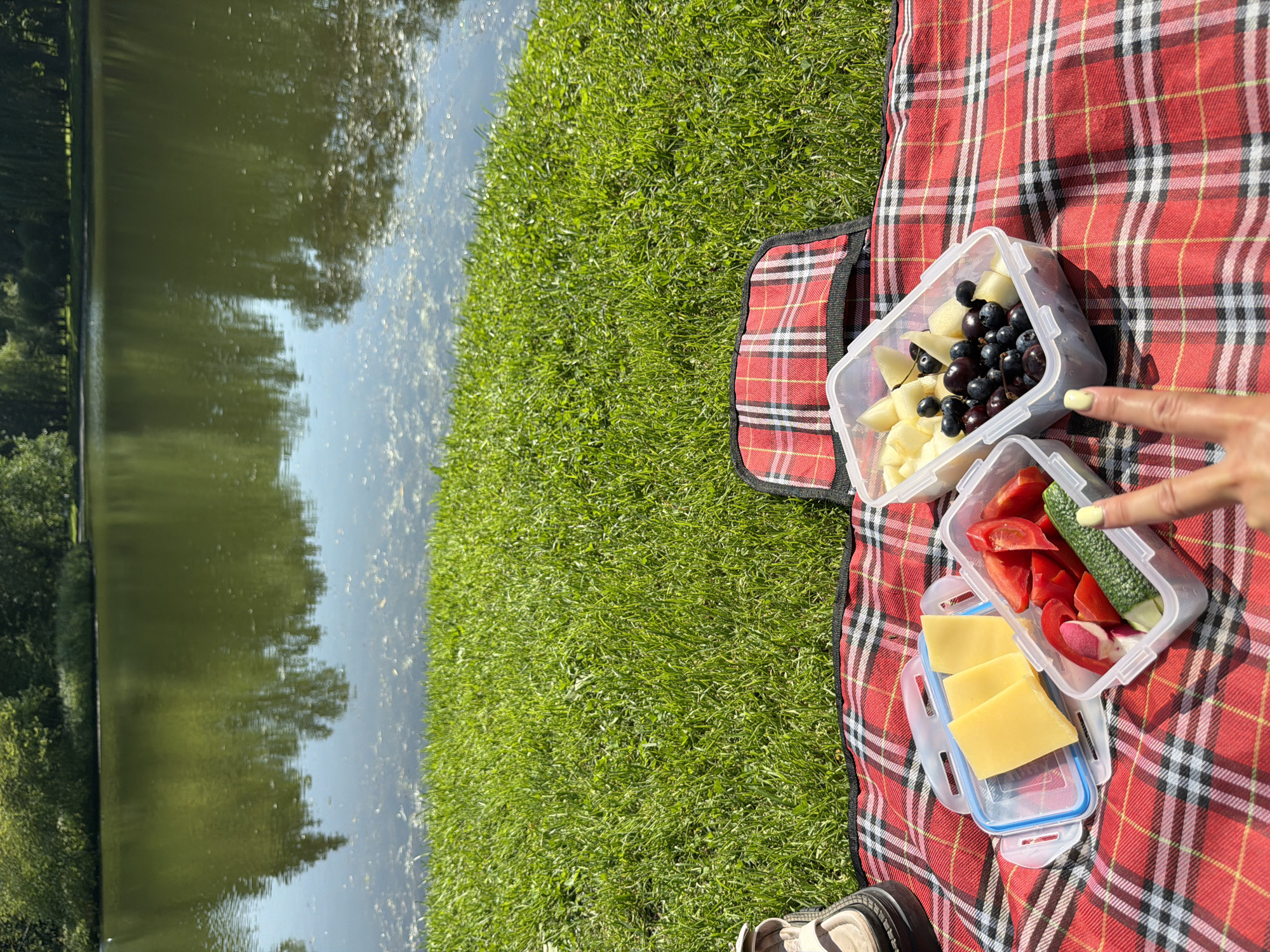 This image depicts a sunny outdoor picnic scene set against the backdrop of a body of water, likely a lake or river, with reflections of trees and the sky visible on its surface. The foreground is dominated by a red and black checkered picnic blanket spread on lush green grass.
On the blanket, there are two clear plastic food containers. The upper container holds a fruit salad with pieces of apple and dark berries, possibly blueberries and cherries. A person's hand with bright yellow nail polish is visible pointing towards this container. The lower container holds sliced cheese and a vegetable medley consisting of cherry tomato halves, a cucumber, and sliced radishes.
The scene appears to be during the daytime, indicated by the bright sunlight casting shadows on the blanket and the vibrant green of the grass. The overall atmosphere suggests a relaxing and enjoyable outdoor activity, likely a picnic or a casual meal by the water. While the exact location is not explicitly shown, the inclusion of Saint Petersburg, Russia, as location context suggests the setting could be a park or recreational area within or near the city. There is no visible text in the image.