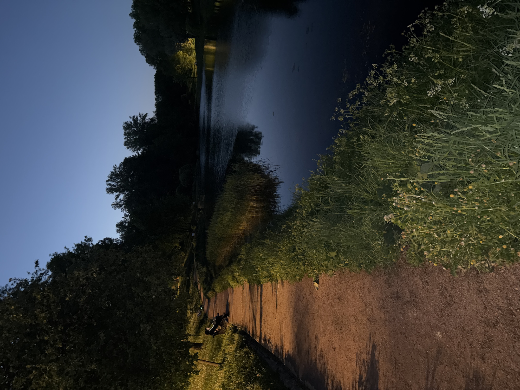 The photograph depicts a dark, outdoor scene at night in Saint Petersburg, Russia. A narrow dirt path, lit dimly by possible streetlights, curves along the edge of a body of water (likely a lake or canal). The water is dark, with some visible reflections. Dense vegetation, including tall grasses and flowering plants, grows along the water's edge. On the other side of the path, there are trees and shrubs. The sky is a deep blue. In the distance, a small light source suggests a building or streetlight. There are blurry individuals and/or bicycles on the pathway.