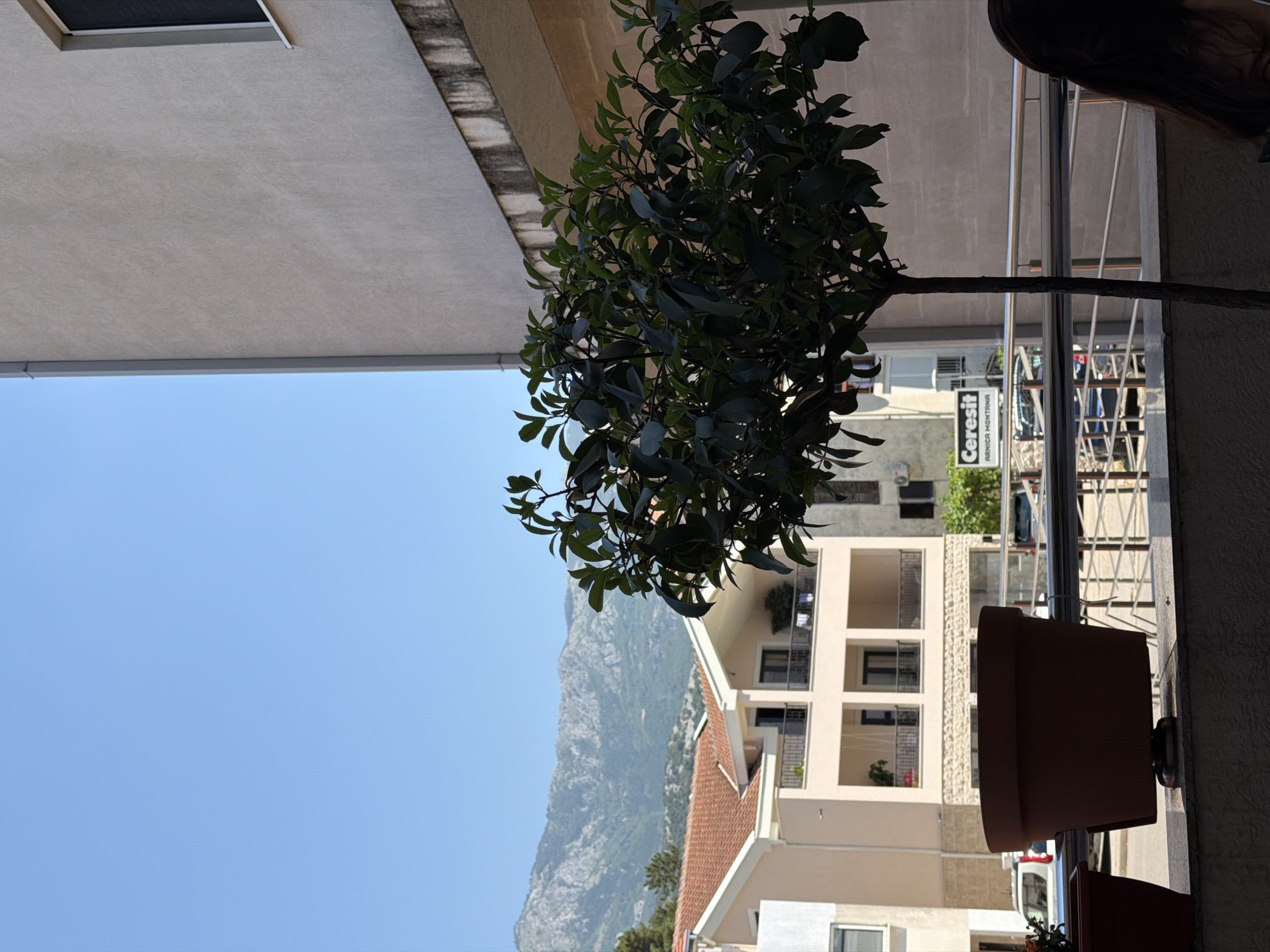 In Budva, Montenegro, a view from a balcony overlooks a street with residential buildings and a mountainous backdrop. In the foreground, a large, brown terracotta pot sits on a ledge. To the right, a thin tree with dark green leaves is partially silhouetted against a light-colored building. In the mid-ground, several buildings with light-colored facades and red-tiled roofs are visible. One building features a sign for "Ceresit ARINCA MONTANA". Cars are parked and driving on the street below. The sky is clear and blue. The scene appears to be a typical urban residential area with natural elements.