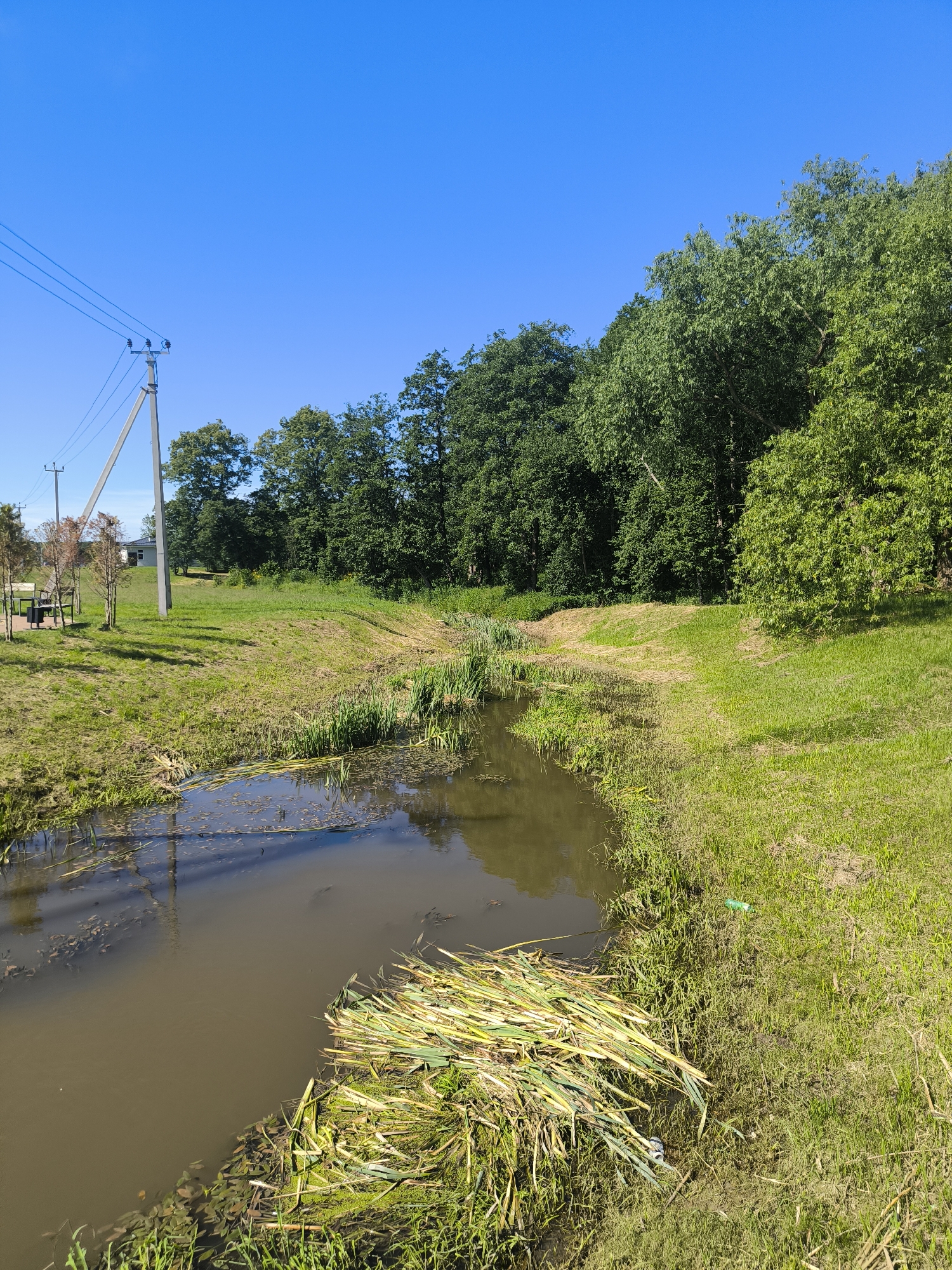 The image shows a narrow, muddy creek flowing through a grassy area. On the left bank, there is a power line pole with wires extending across the frame, and further left, a picnic table and trash can are visible. A small, white building with a dark roof is situated behind the picnic area. The right bank of the creek is lined with green grass and trees. The water itself is murky brown, with some reeds and water plants growing along the edges. A pile of cut reeds or grass is floating in the creek, near the right bank. The sky is clear and blue, and the scene appears to be a natural or park-like setting. There are no people visible in the image. The location is specified as Laskino, Russia.