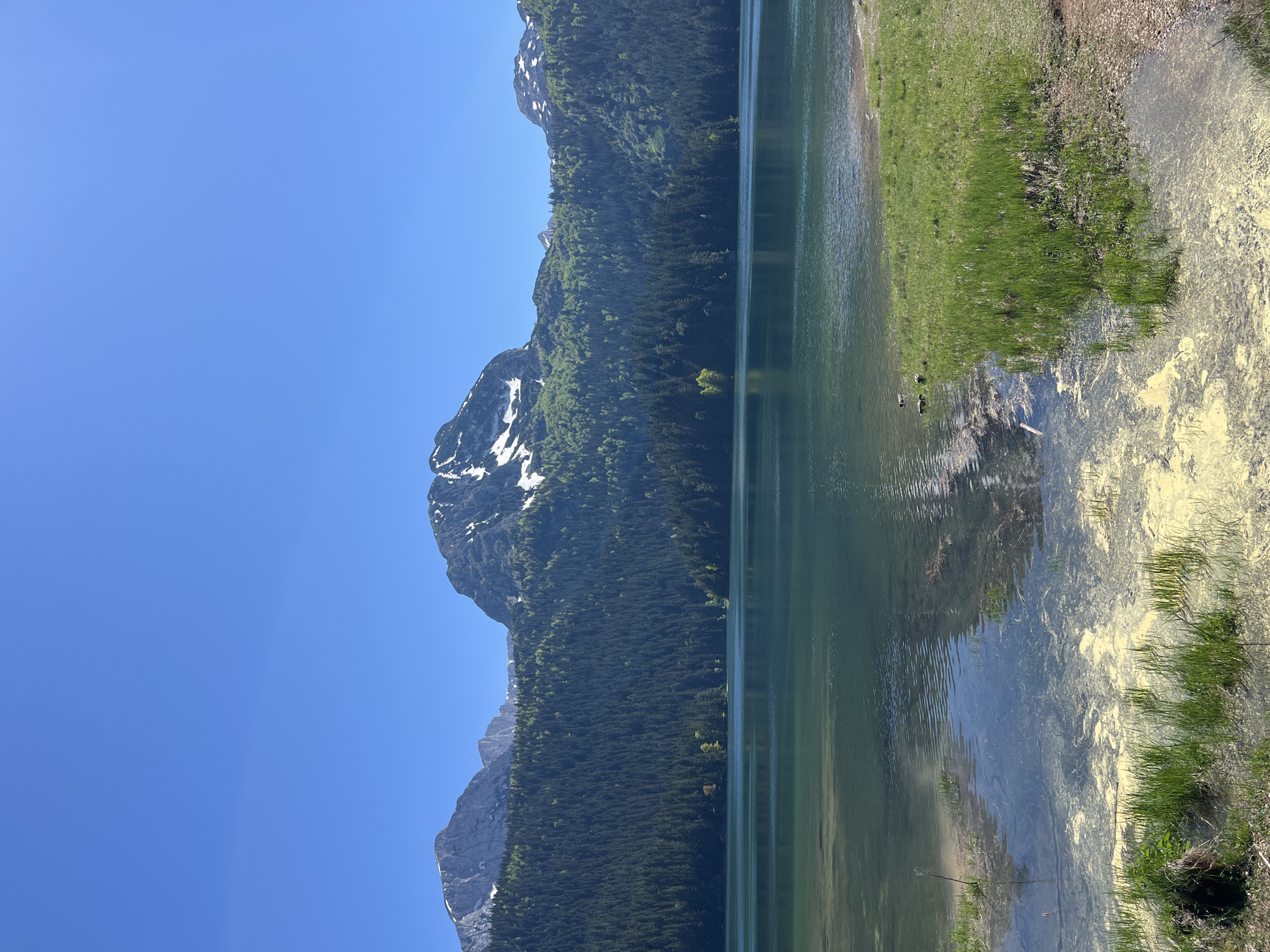 The image shows a landscape with a lake and mountains. The lake is in the foreground and appears to be clear with reflections of the surrounding landscape. A grassy shoreline is visible on the right. Mountains rise in the background, partly covered with trees and some remaining snow patches. The sky is clear blue. Based on the location information, this is likely the Black Lake (Crno jezero) in Durmitor National Park, near the village of Pitomine, Montenegro.