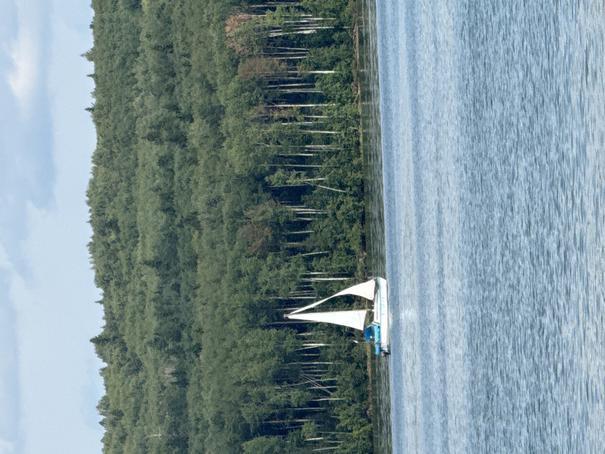 The image shows a sailboat on a body of water. In the background, there is a dense forest with many trees. The sky above is partly cloudy. The sailboat appears to be a small white vessel with blue accents and two sails. There is a person visible on the deck of the sailboat, operating it. The water is choppy, with ripples and waves. The overall scene is serene and natural, suggesting a calm day for sailing. The location is the Kama River in Chaikovsky, Russia, a city known for its industrial and natural beauty.