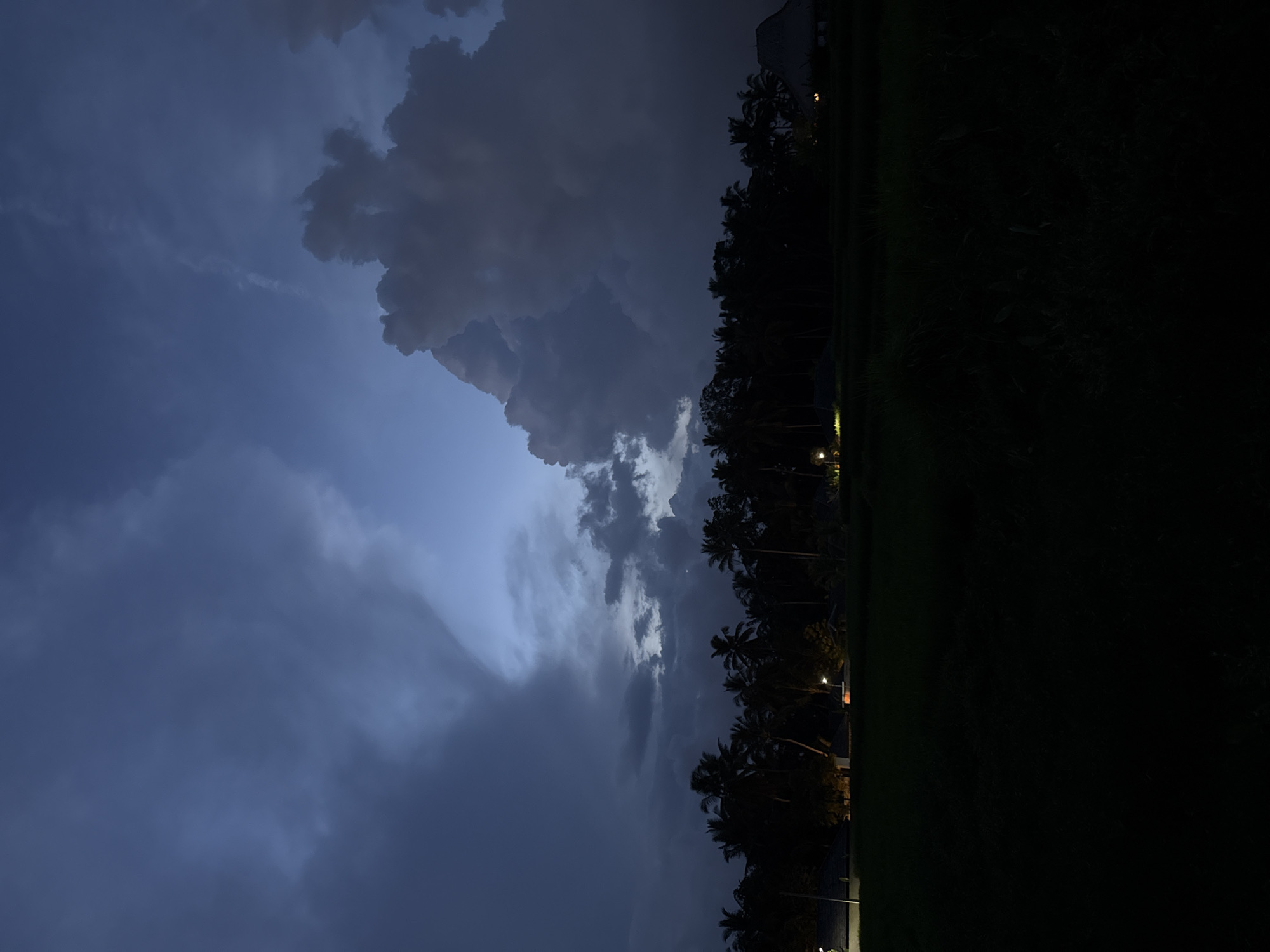 The image captures a night scene in Pejeng, Indonesia, featuring a sky filled with dark, ominous clouds. On the right side of the image, a dense row of silhouetted palm trees stands between the dark sky and what appears to be a rice field or other vegetation. A few faint lights are visible among the trees. The overall impression is one of an impending storm or recent rainfall.