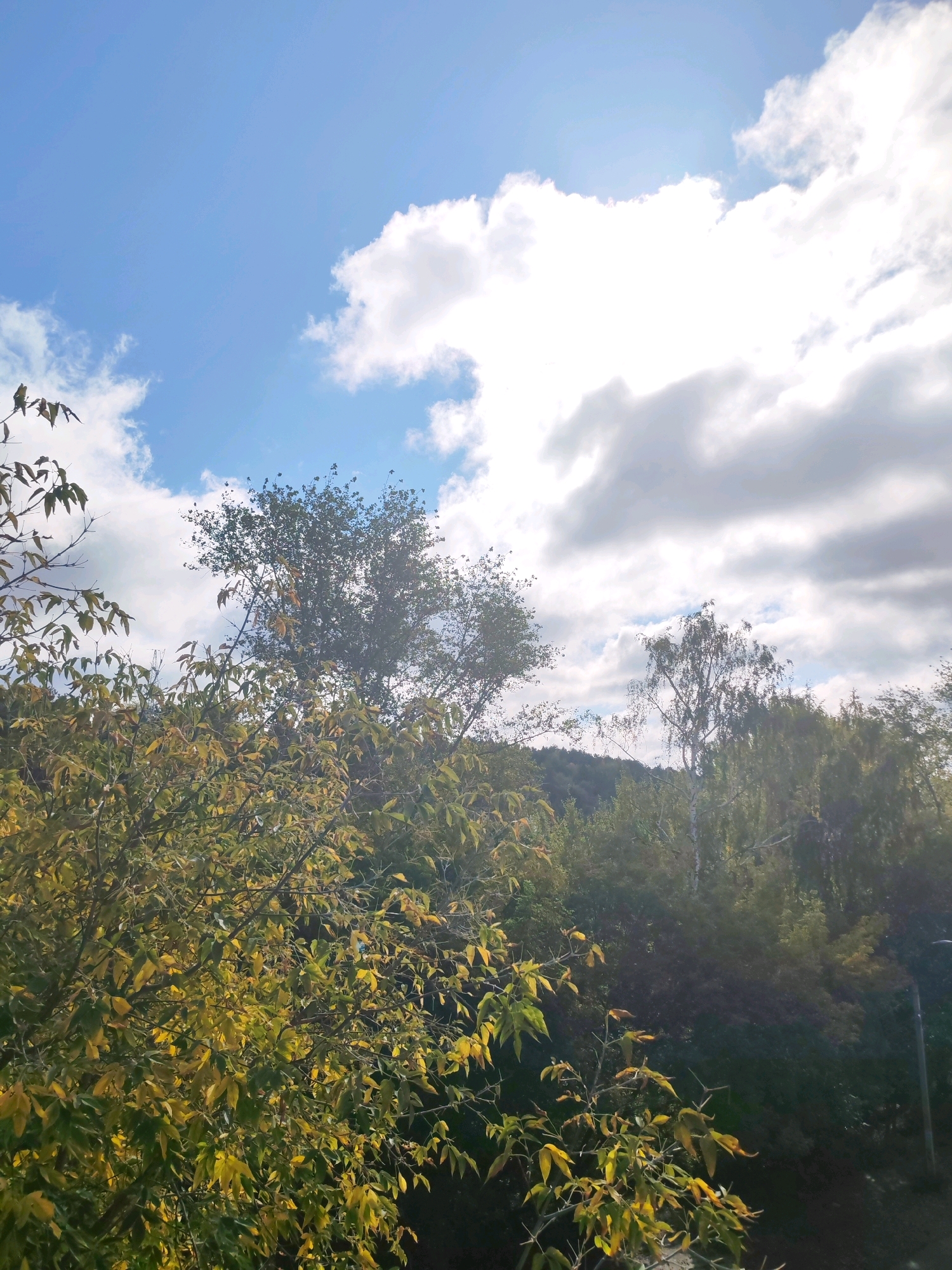 The image depicts a view of the sky and trees on an overcast day. The sky is a mix of blue and white, with large, fluffy clouds dominating the upper right portion of the frame. In the foreground, there are trees with leaves that are turning yellow and green, suggesting it is autumn. The trees appear to be in a natural setting, possibly a park or a wooded area. The background shows a gentle slope covered in trees, indicating a hilly or mountainous terrain. There are no people or animals visible in the image, nor any specific urban features that would definitively place it in Izhevsk, Russia.