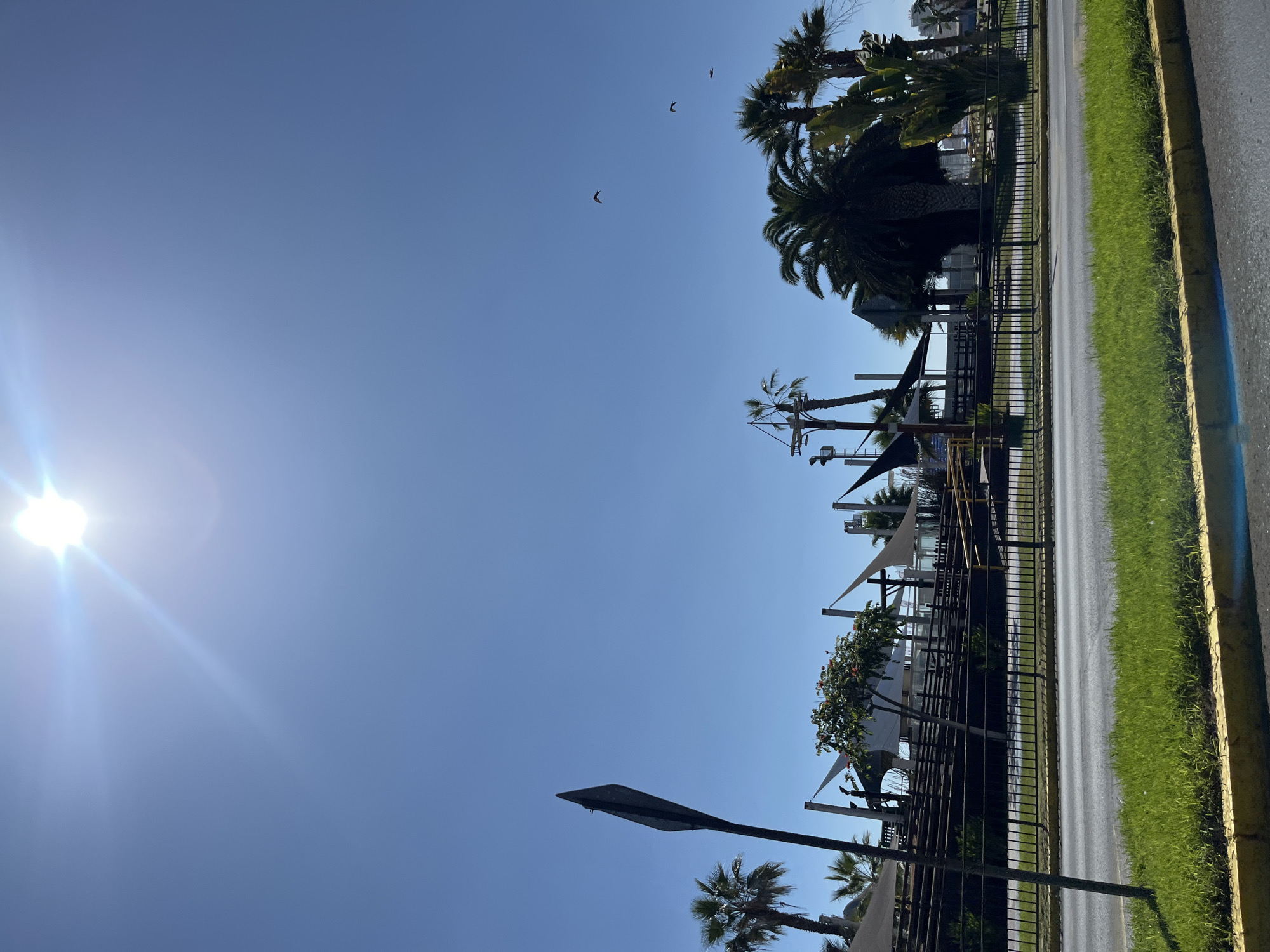This image captures a vibrant outdoor scene on a clear, sunny day, oriented with the sun in the upper left and a road running vertically along the right side. The sky is a brilliant, cloudless blue, filling most of the upper and central portions of the frame. The sun is prominently featured in the upper left, appearing as a bright, star-like burst with visible lens flares, indicating a high position in the sky, likely midday or early afternoon. Three small, dark birds are captured mid-flight against the expansive blue, adding a dynamic element.
On the right side of the image, a paved road or street is visible, bordered by a distinct yellow curb and a narrow strip of vivid green grass. To the left of the road and grass, a dark metal fence or railing runs parallel, separating the street from an area populated by numerous palm trees and some man-made structures. Several palm trees, with their characteristic fronds, are scattered throughout the scene, varying in height; some are tall and prominent against the sky, while others are closer to the ground.
Behind the fence, partial views of buildings or an outdoor establishment are visible, characterized by white or light-colored awnings or shades, suggesting a restaurant, cafe, or resort area. A flowering plant with small red or orange blooms can also be seen nestled among these structures. In the lower part of the frame, a dark, paddle-shaped object, likely a streetlight or a sign, points upwards towards the sky. The overall impression is one of brightness, warmth, and a leisurely, possibly tropical or subtropical, urban environment. There is no visible text in the image.