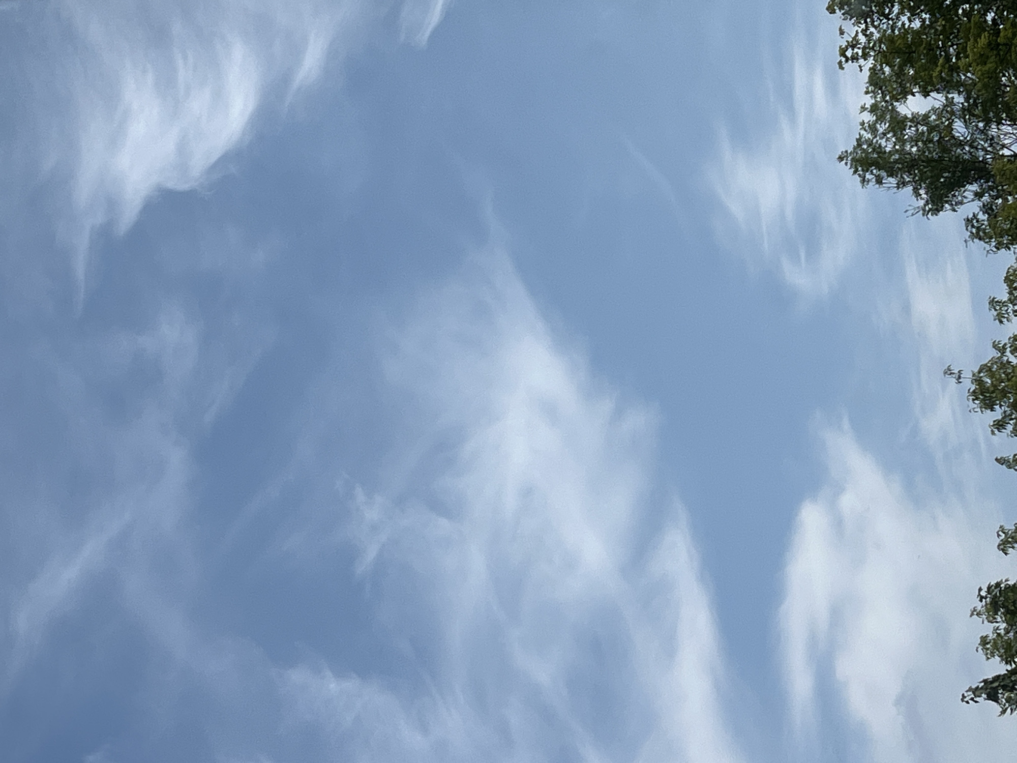The image is a vertical, medium shot of a blue sky with wispy white clouds. The lower portion of the image shows the tops of green trees. The scene is an outdoor environment. There are no people or visible man-made objects, except for the implied existence of the camera that captured the image. The weather appears to be fair with scattered clouds. The time of day is likely daytime, based on the brightness of the sky. The location is specified as Warsaw, Poland.
