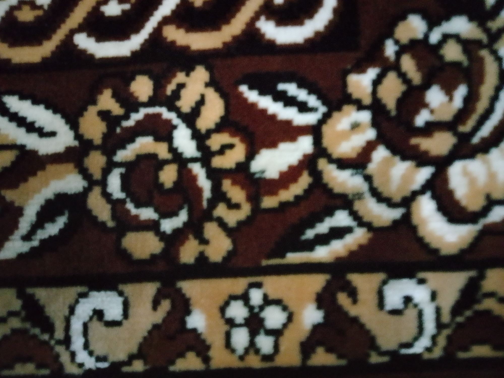 The image is a close-up, slightly blurry, overhead shot of a patterned rug. The pattern consists of floral motifs in shades of brown, beige, and white. The main floral elements appear to be stylized roses with layered petals, outlined in black. Between the larger roses, there are smaller floral designs within a horizontal border. The rug's background is a dark brown, and the patterns are woven into the fabric. The lighting suggests an indoor environment, though no specific location within a city is discernible.