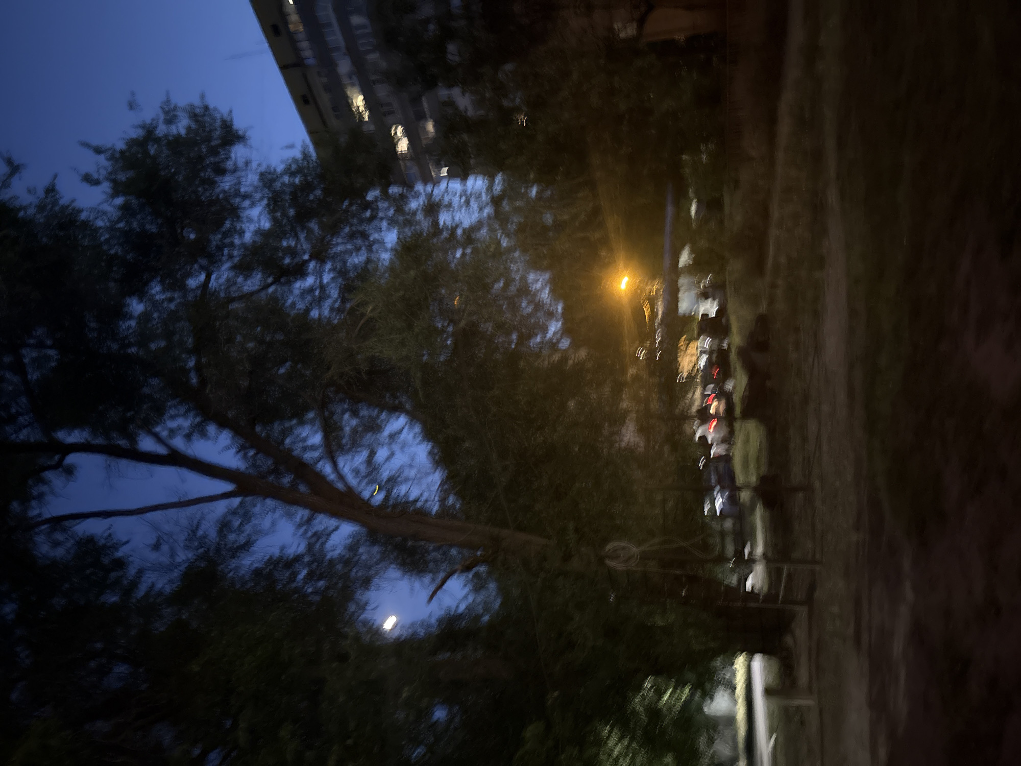 The image depicts a dimly lit outdoor scene at dusk or night, likely in an urban environment within the city of Dnipro, Ukraine. A large tree with dark, indistinct foliage dominates the left and center of the frame, its branches silhouetted against a deep blue sky. To the right, a multi-story building, likely an apartment complex, is visible. Lights are illuminated in some of the windows of the building, suggesting inhabitation. In the middle ground, several vehicles are parked or moving, their headlights and taillights blurred due to motion or low light conditions. A street lamp with a bright yellow glow is also visible, illuminating a portion of the scene. The ground appears to be unpaved or covered in rough terrain, with some scattered vegetation. The overall impression is one of an ordinary residential area during twilight, with elements of nature and urban infrastructure coexisting.