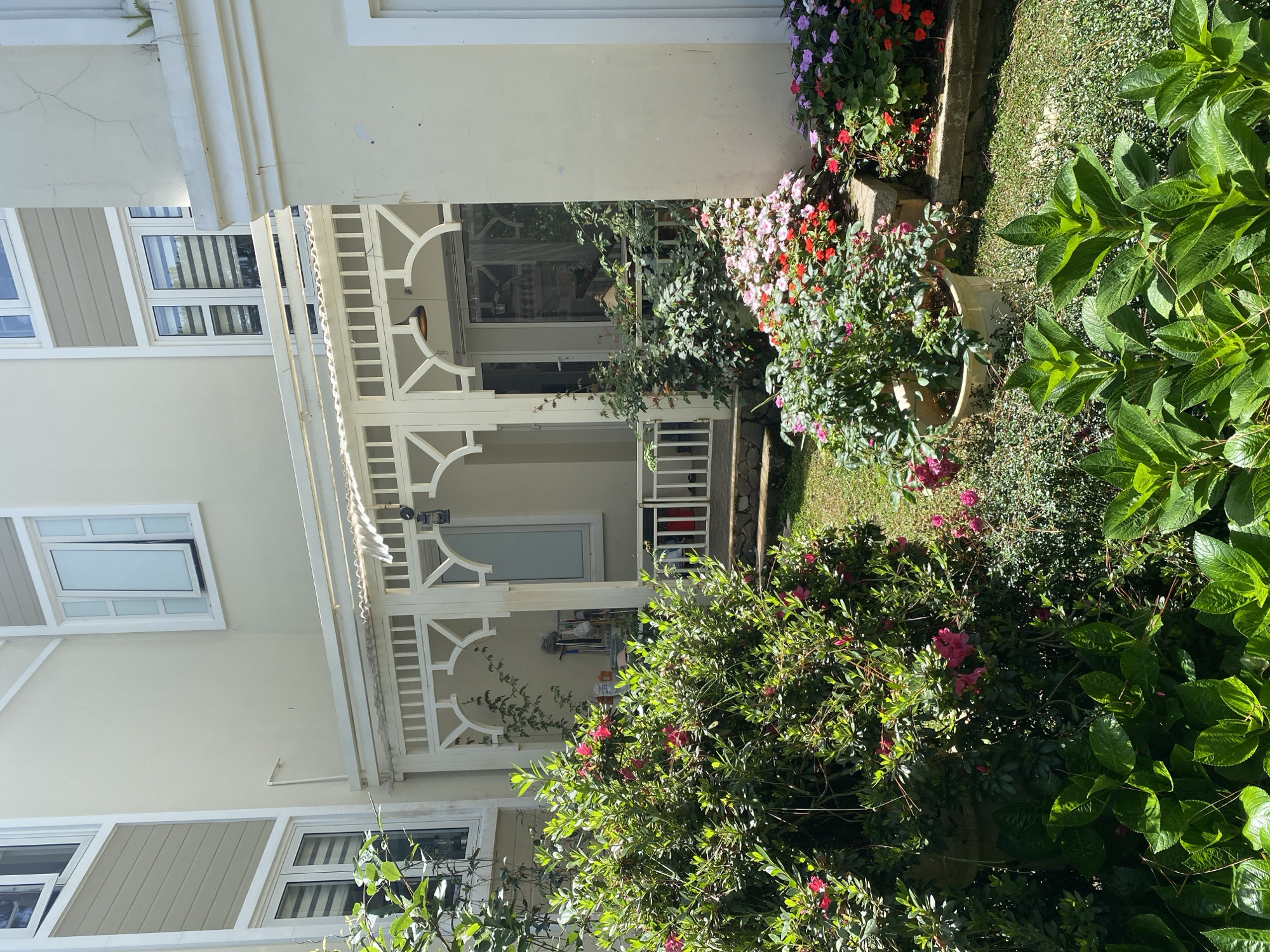The scene depicts a garden in Da Lat, Vietnam, adjacent to a light yellow building with white trim and windows. The architecture features decorative white lattices on a porch or walkway. A variety of plants, including flowering bushes and leafy foliage, fill the foreground and surrounding areas. The lighting is bright, suggesting daylight. There are no people visible.