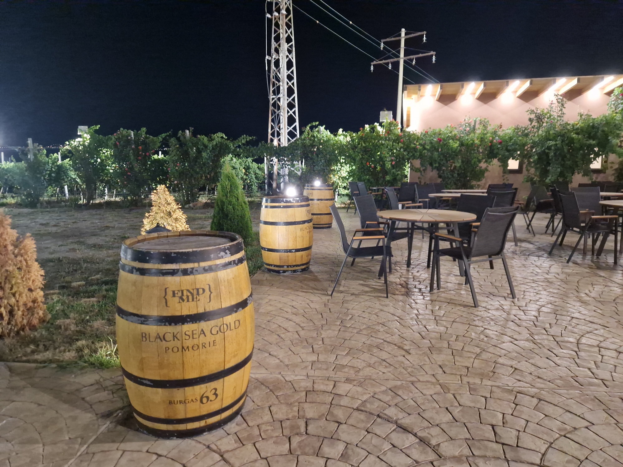 The image depicts an outdoor seating area at night, likely a winery or restaurant, located in Tankovo, Bulgaria. In the foreground, a large wooden barrel with the inscription "BLACK SEA GOLD POMORIE BURGAS 63" is prominently displayed. To the left of the barrel is a dry, light-colored shrub. Behind the barrel, another similar barrel is partially visible, as is a tall, slender coniferous tree. The ground is paved with interlocking cobblestones arranged in a radial pattern.
In the midground, several round and rectangular tables are set up with dark chairs. Some of these tables are made of wood and metal, while others appear to be entirely metal. The area is bordered by rows of lush green grapevines. In the background, a tall, industrial-looking tower with a lattice structure stands against the dark night sky, with power lines extending from it. A building with a light-colored facade and angled roof supports, illuminated by outdoor lighting, is also visible. The overall scene suggests a tranquil evening setting for outdoor dining or wine tasting.