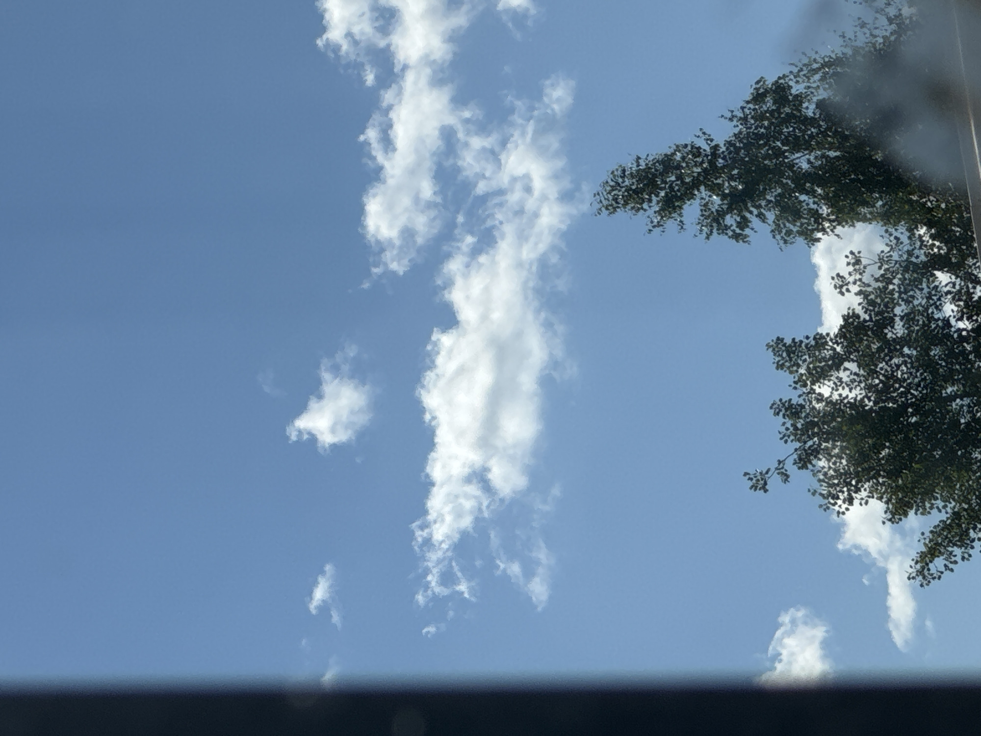 The image shows a clear blue sky with scattered white clouds. In the foreground, the tops of dark green trees are visible, reaching up towards the sky. A dark, blurred object occupies the left side of the frame, possibly a window frame or a wall. The scene appears to be an outdoor environment, with the focus on the sky and foliage. The provided hints suggest the location is in Zaokskiy, Russia, but this information cannot be verified from the image content alone. No people, actions, or interactions are depicted.