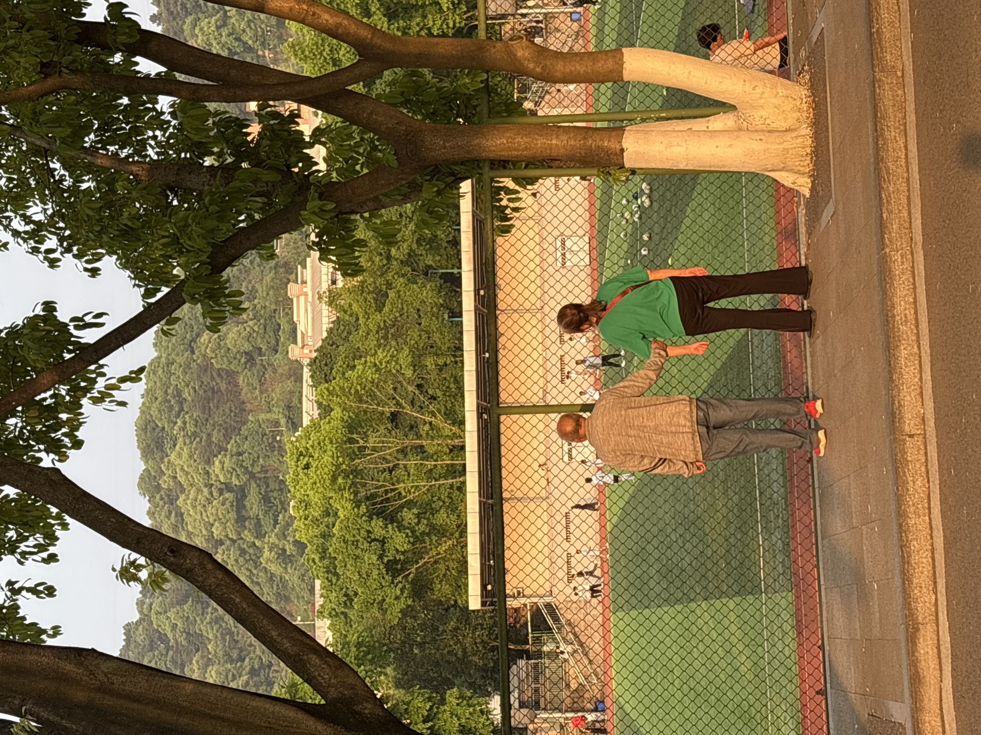 A photograph taken in the Nan'an District of Chongqing, China, depicts two individuals standing on a sidewalk adjacent to a park or sports field enclosed by a chain-link fence. One person is wearing a green shirt and black pants, while the other wears a gray sweater and gray pants. They appear to be observing activity within the field. The field itself is green with markings, possibly for bocce. White painted trees, with foliage, stand next to the fence. In the background, trees cover a hillside. A building is visible further away. The photograph is rotated 90 degrees clockwise.