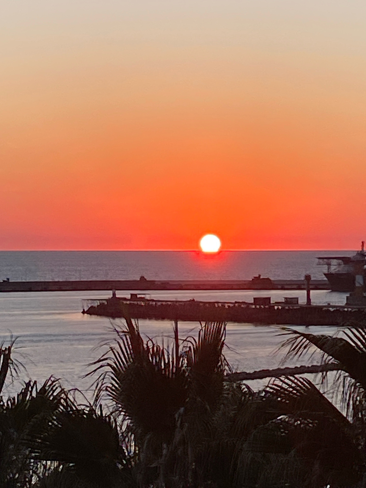 A sunset over the Black Sea is captured, with the sun appearing as a bright, orange orb on the horizon. The sky is a gradient of warm tones, transitioning from a pale yellow at the top to a vibrant orange near the horizon. In the foreground, the fronds of palm trees are silhouetted against the colorful sky, suggesting a tropical or subtropical climate.
In the mid-ground, a harbor is visible, with a long concrete breakwater extending into the sea. Several structures, possibly ships or cranes, are present along the breakwater and in the water. A small lighthouse-like structure is also visible on the breakwater. The water itself appears calm, reflecting the colors of the sky.
The scene is likely set in Sochi, Russia, a city on the Black Sea coast known for its subtropical climate and palm trees. The presence of a harbor and maritime infrastructure further supports this location. No people are visible in the image.